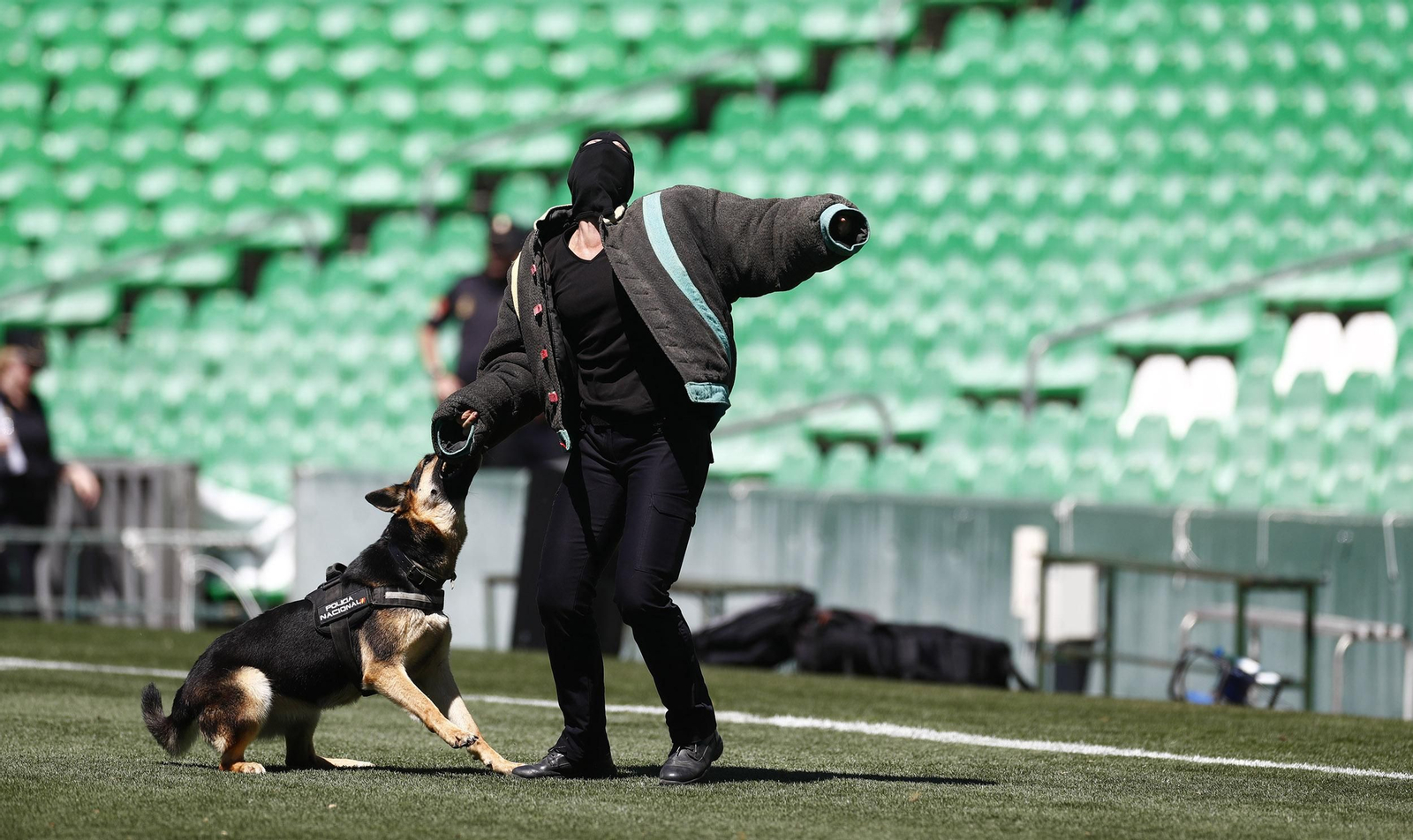 Exhibición de la Policía Nacional en el Estadio Benito Villamarín
