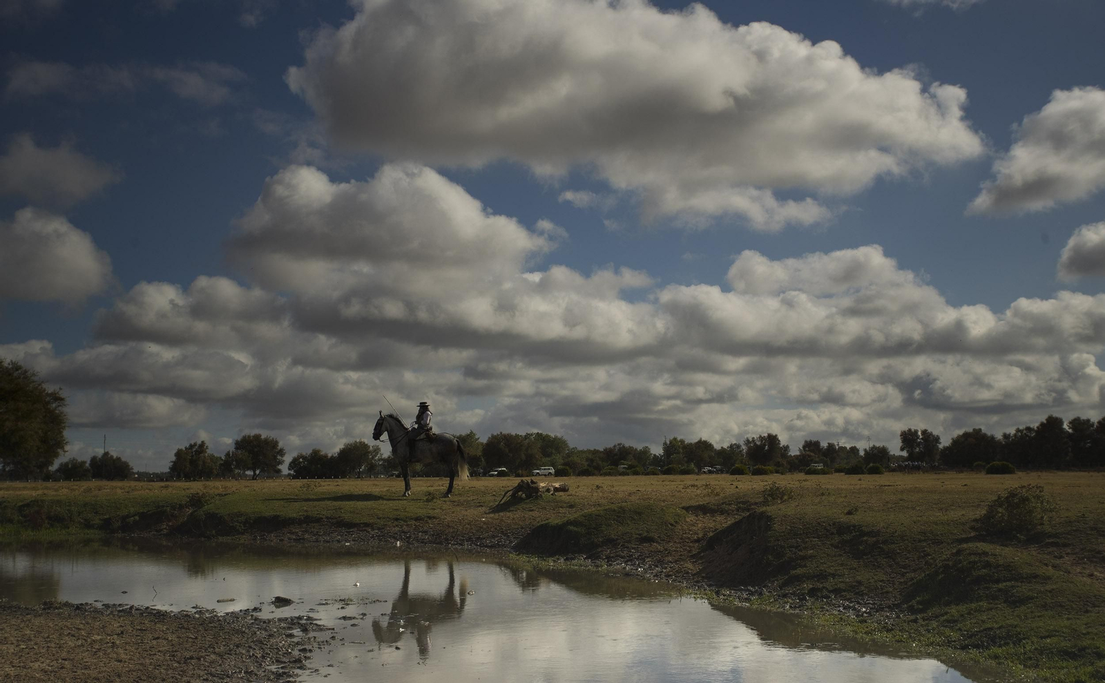 La Saca de las Yeguas, en imágenes
