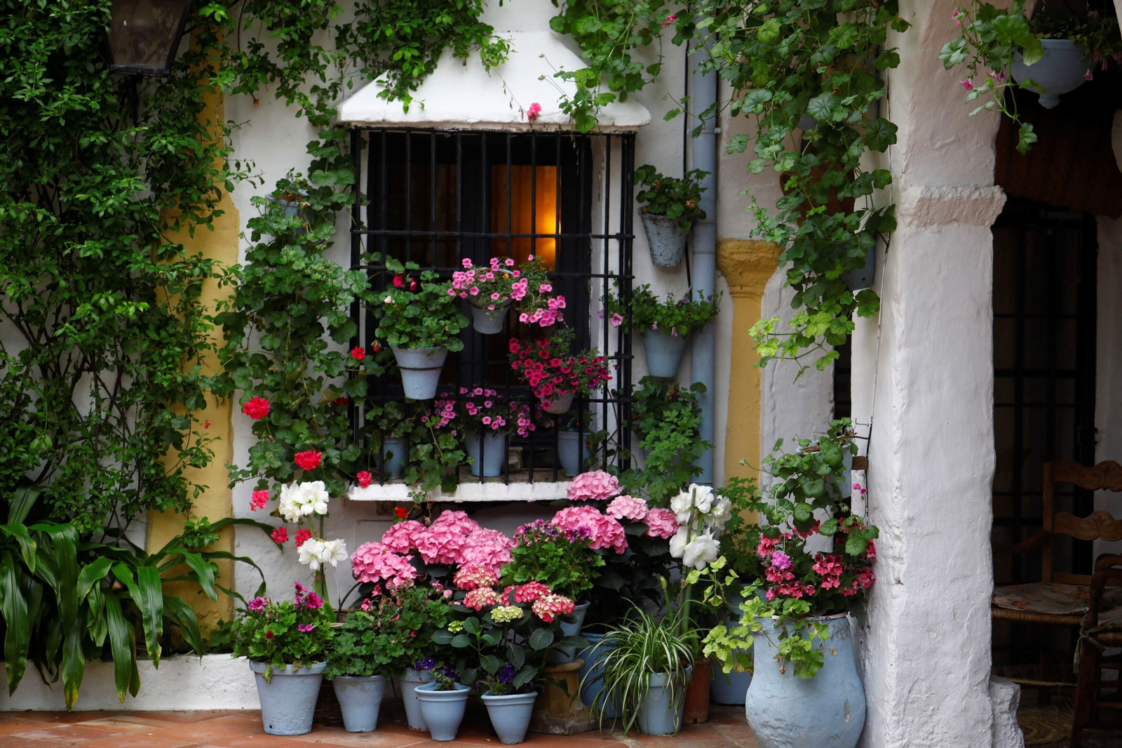 Los patios de Córdoba de la ruta Judería-San Francisco, en imágenes