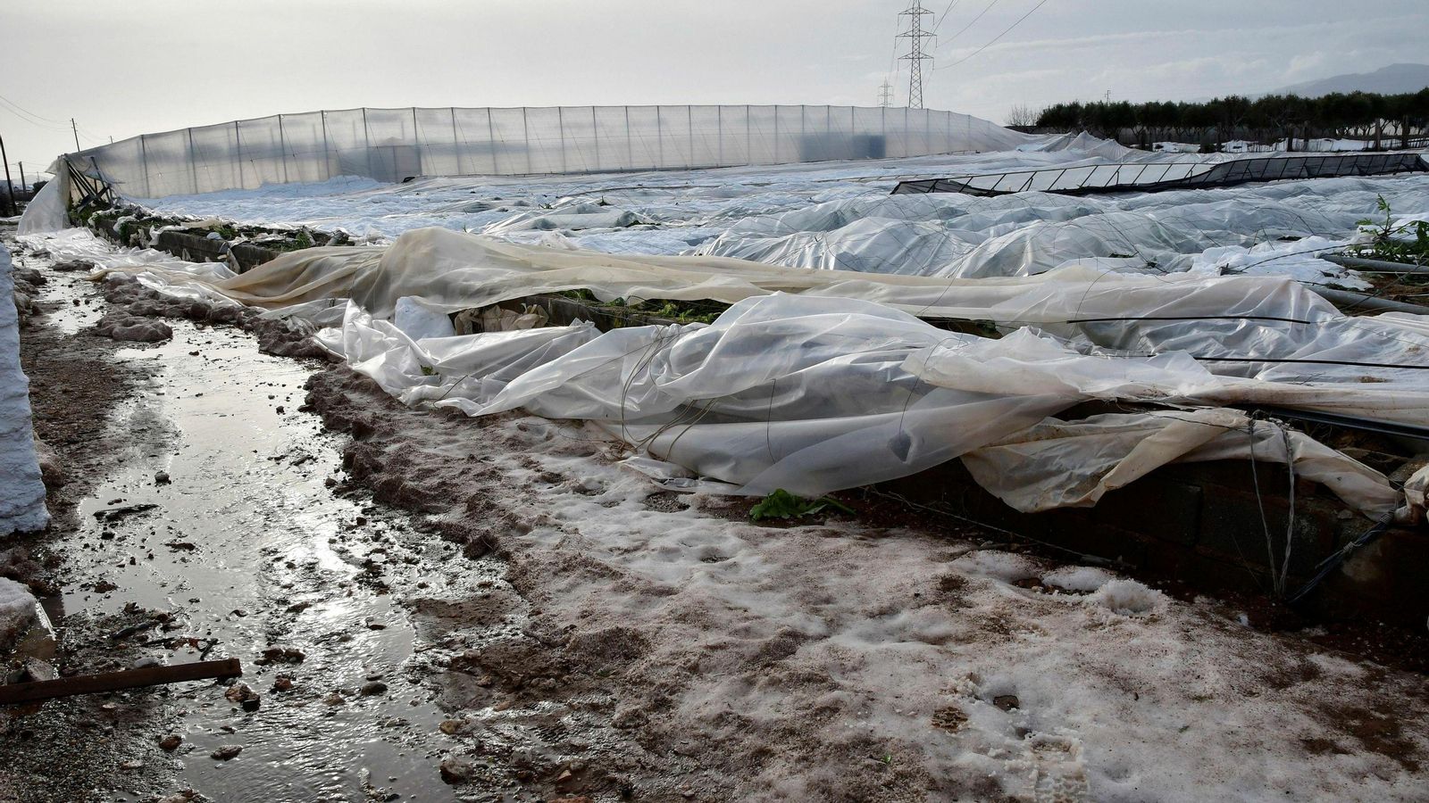 Invernadero en el que ha muerto este miércoles José Bautista Salvador en la pequeña localidad de Saladar y Leche de Níjar.
