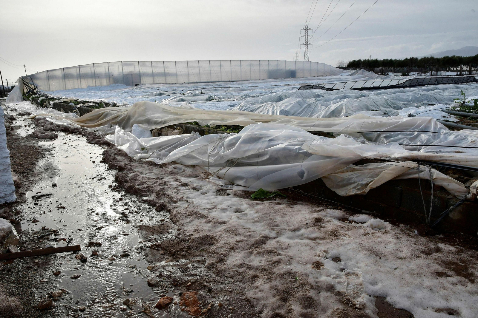 Invernadero en el que ha muerto este miércoles José Bautista Salvador en la pequeña localidad de Saladar y Leche de Níjar.