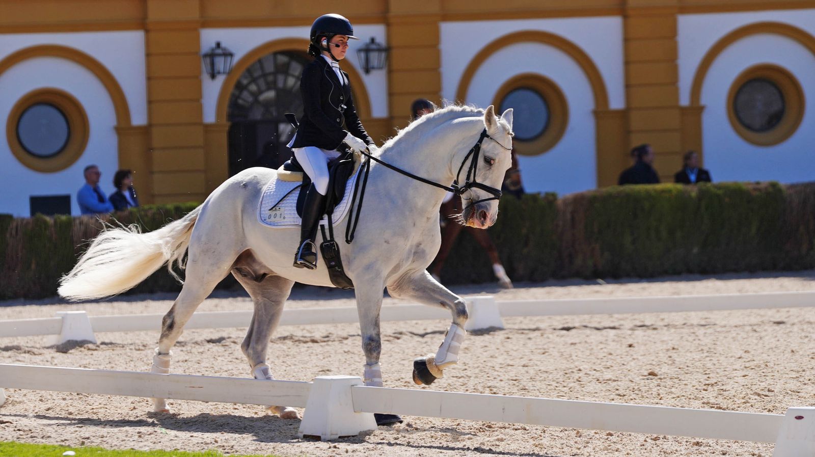 Concurso de Doma Clásica internacional en la Real escuela de Jerez