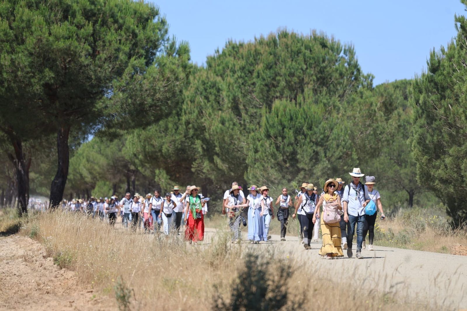 Ambientazo en el camino de Huelva al Rocío este viernes: imágenes de los peregrinos en La Matilla