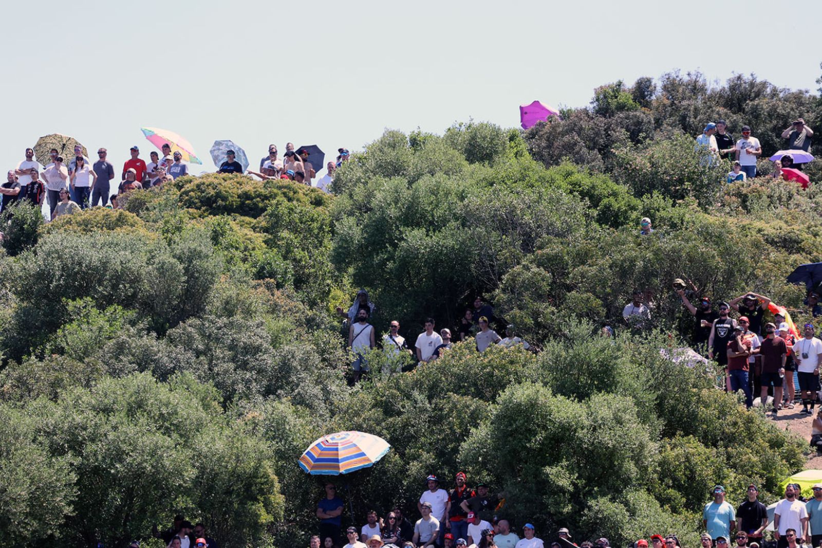 Búscate el domingo de Gran Premio de Jerez 2025 (II)