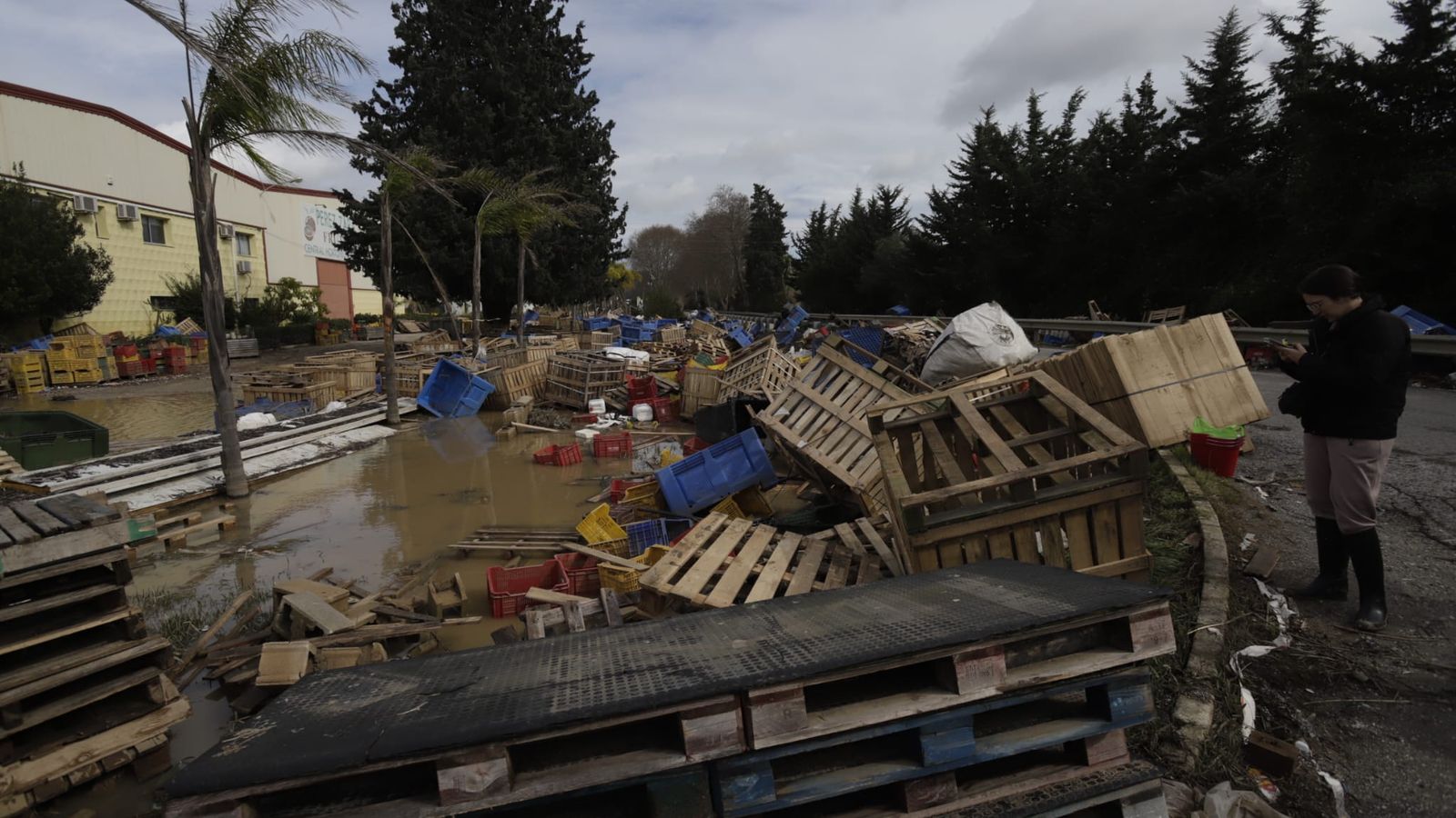 Material inservible a las puertas de la empresa agrícola Pérez Zara.