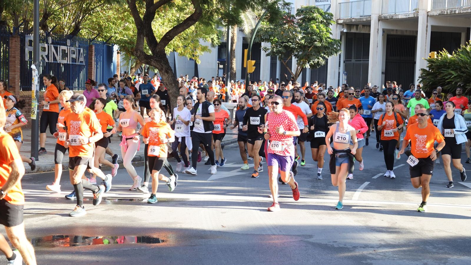 Búscate en las fotos de la Carrera de la Prensa en Málaga