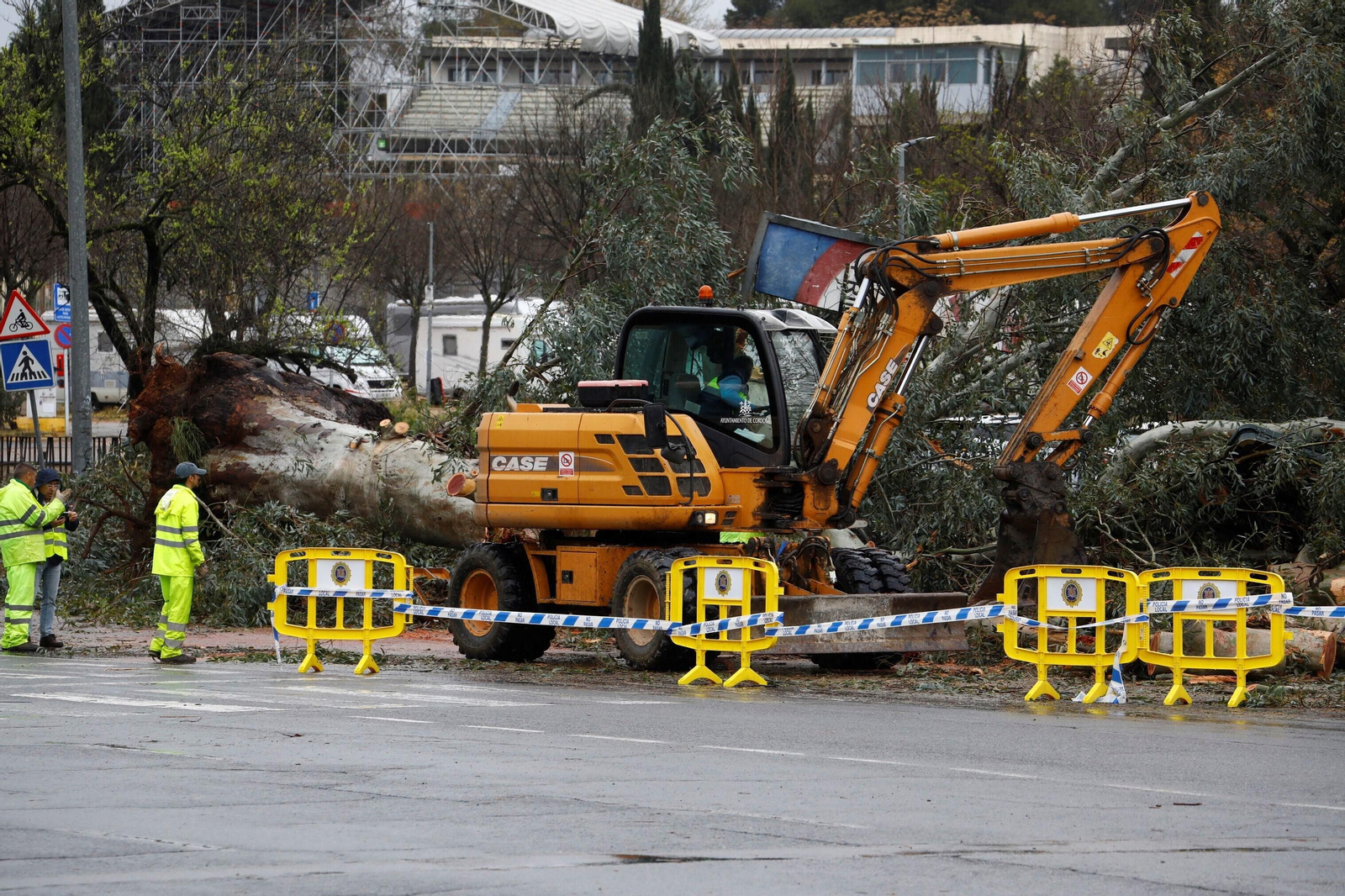 Los daños del último temporal que ha pasado por Córdoba, en imágenes