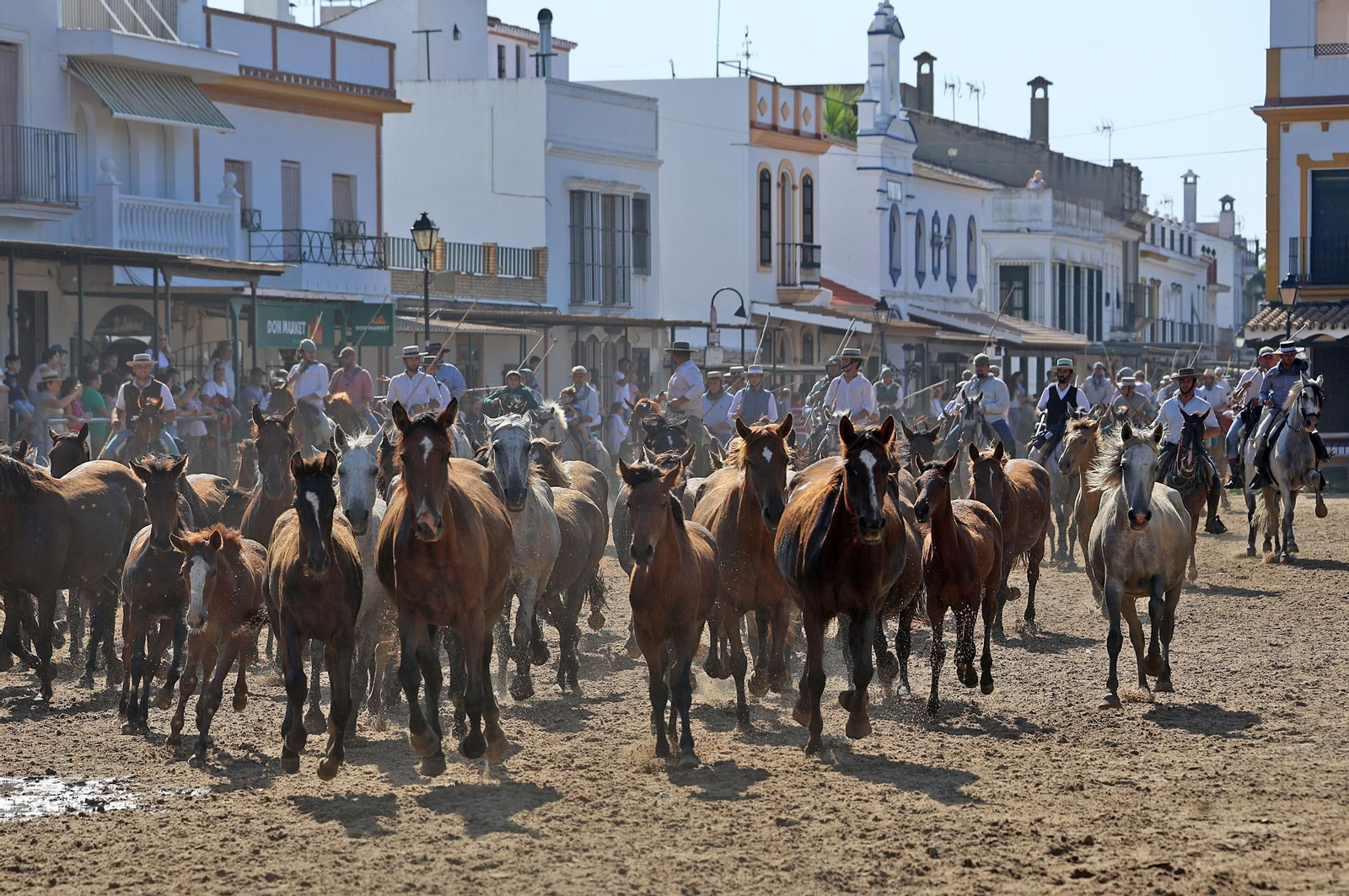 Las mejores imágenes de la Saca de las Yeguas 2025