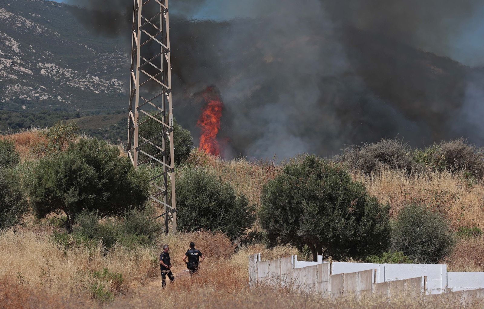 Imágenes del incendio en Los Pastores