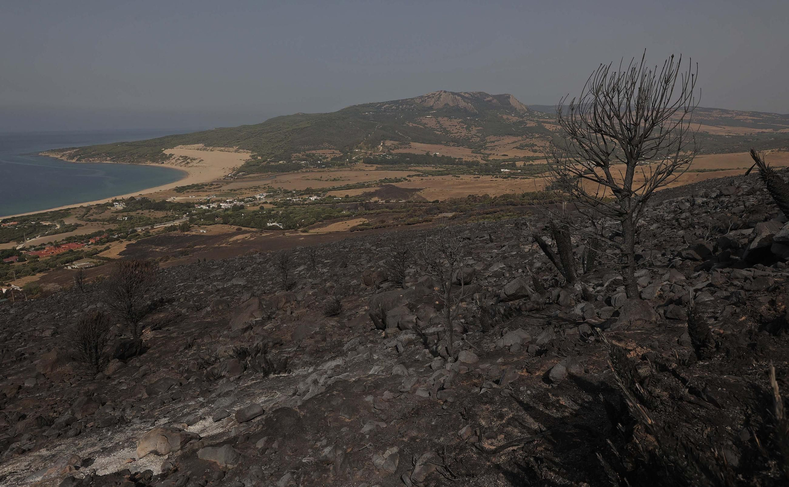 Fotos de los efectos del incendio en el monte de La Peña en Tarifa