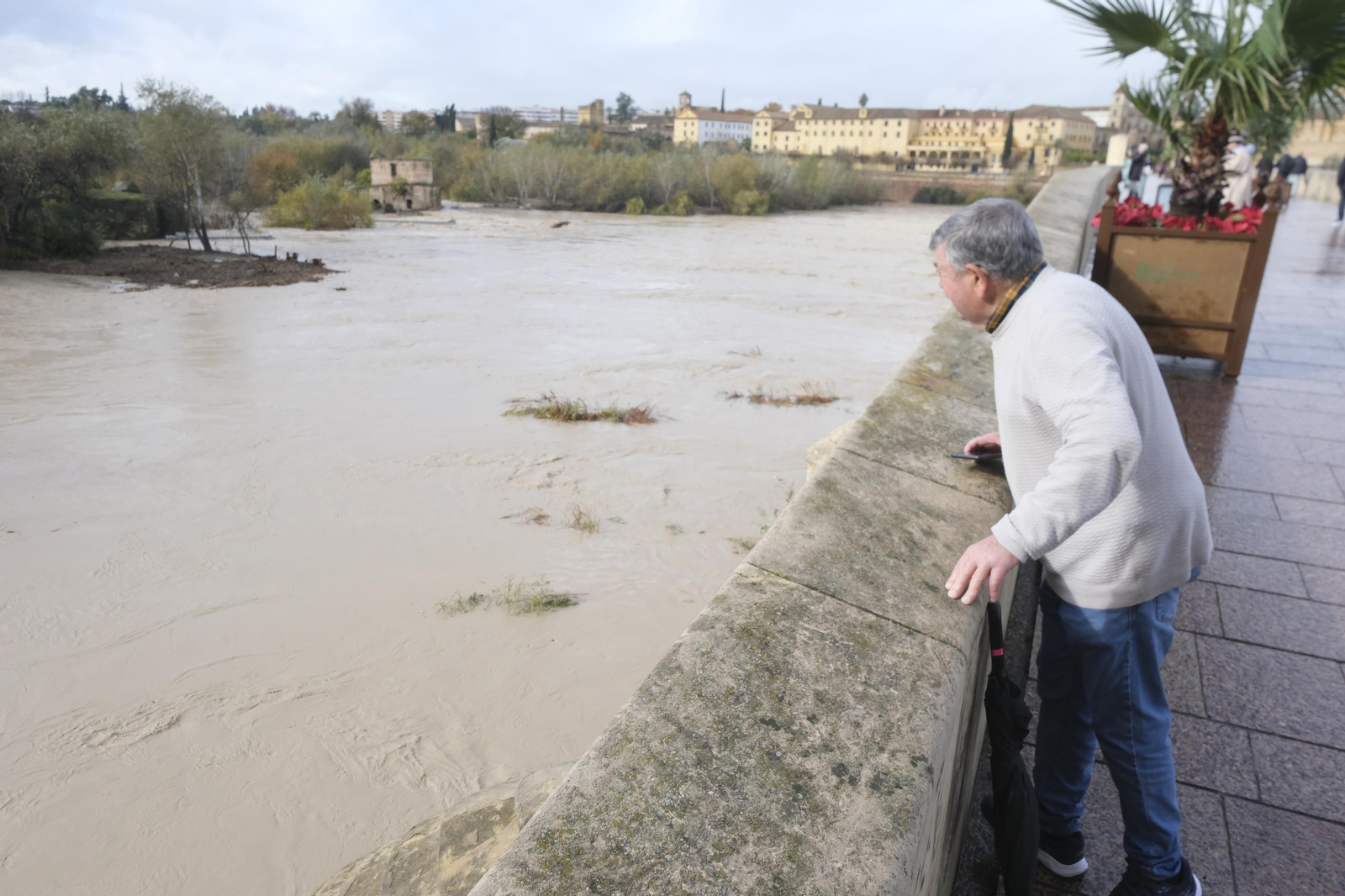 La crecida del río Guadalquivir tras las lluvias en Córdoba, en imágenes