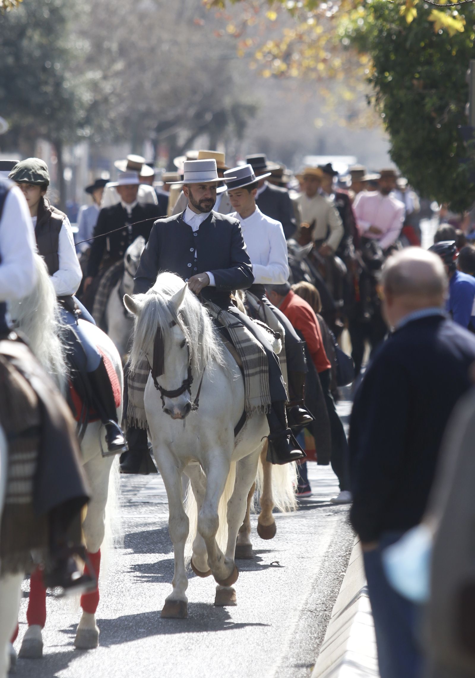 La marcha hípica en Córdoba por el 28-F, en fotografias.