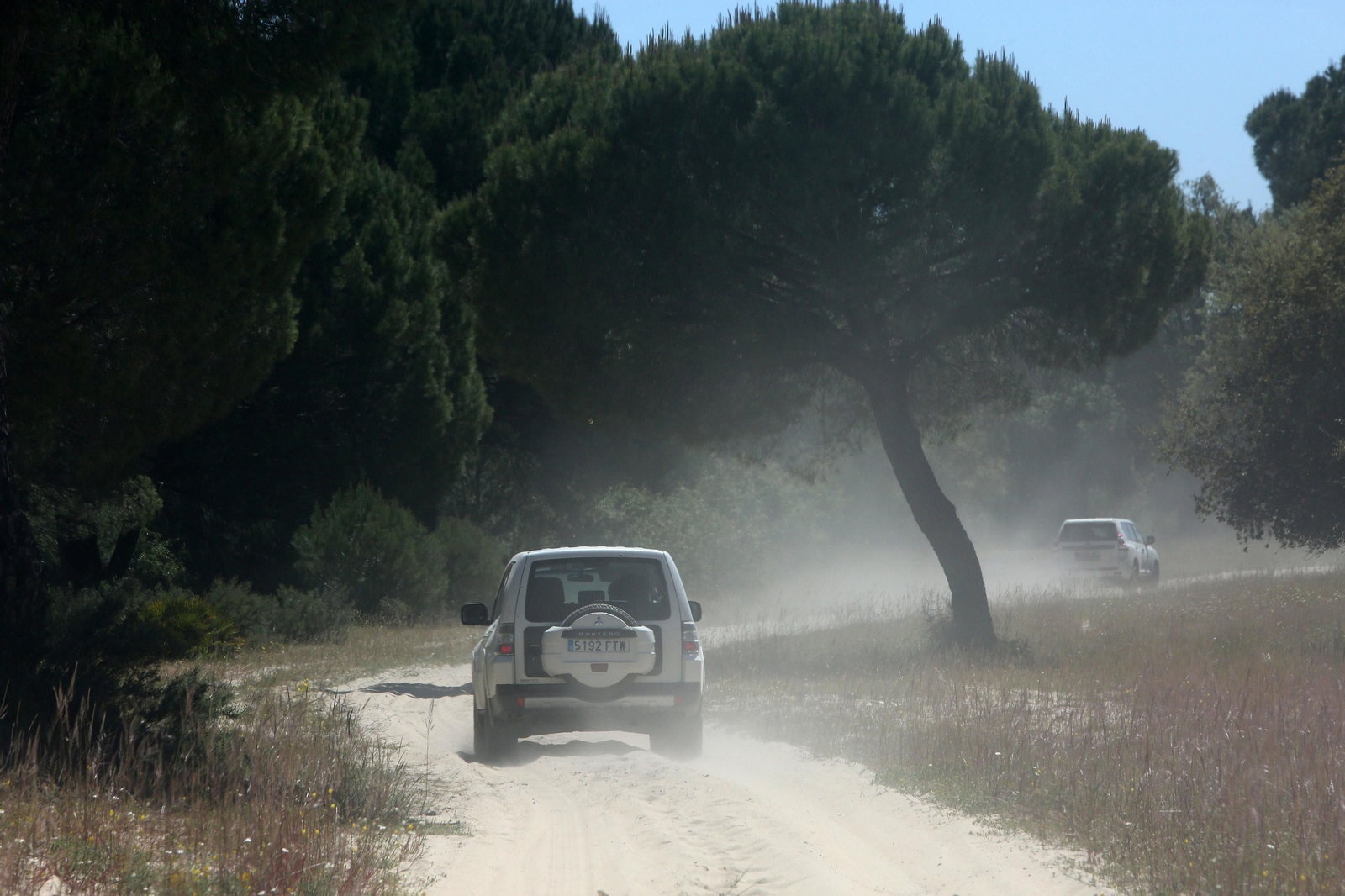 Activado el Plan Romero