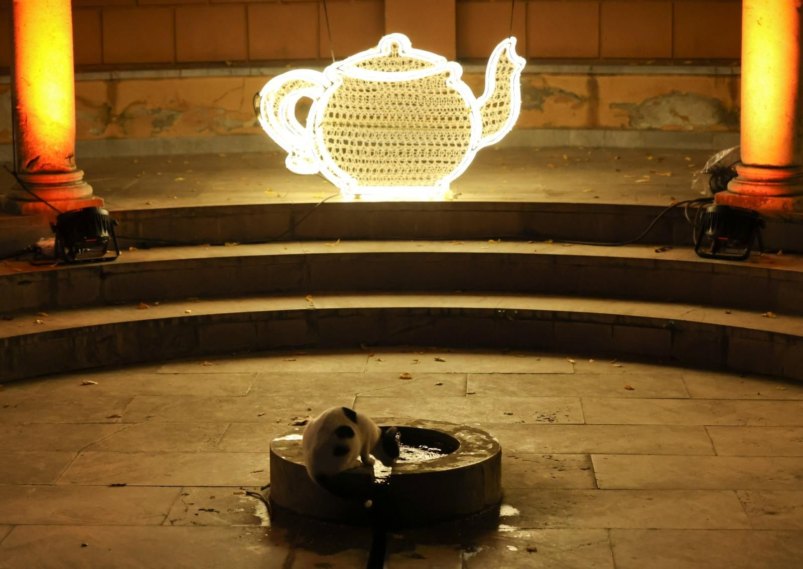 El espectaculo 'La Navidad en el Jardín de las Maravillas¡ en el Jardín Botánico, en imágenes