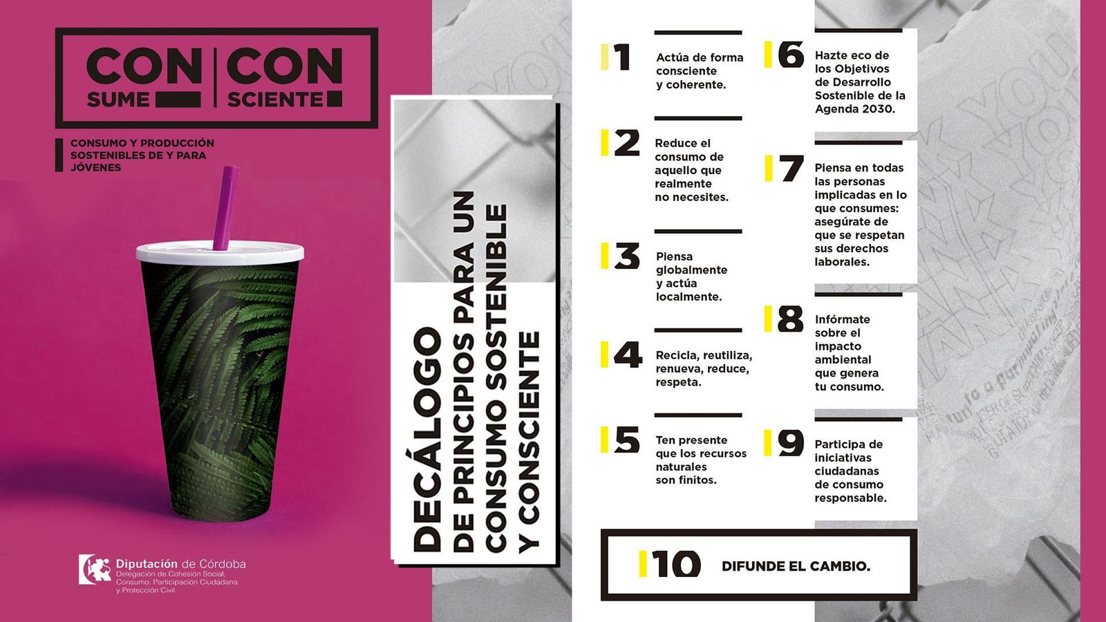 Decálogo de principios para el consumo sostenible de la campaña