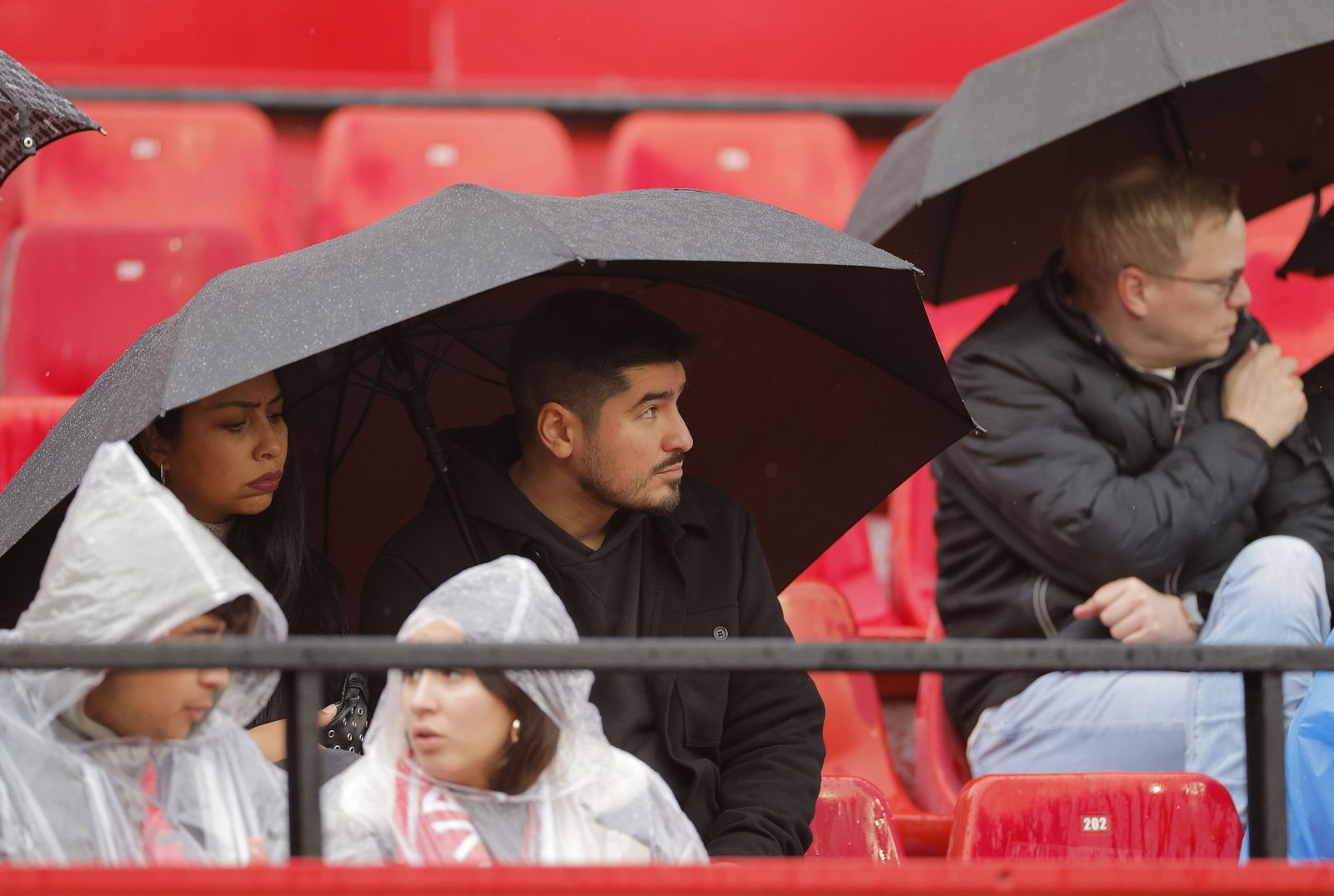 Búscate en las fotos del Sevilla FC - Levante