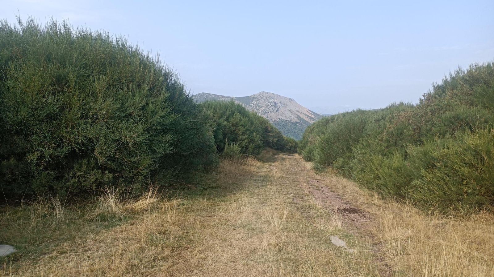 Este es el punto más elevado del Camino Olvidado: el Collado de Fito. Por desgracia los matorrales impiden tener buenas vistas. Este es el punto más elevado del Camino Olvidado: el Collado de Fito. Por desgracia los matorrales impiden tener buenas vistas.