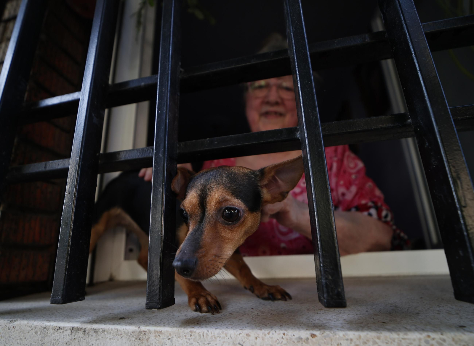 La salida de la Hermandad del Cerro en imágenes