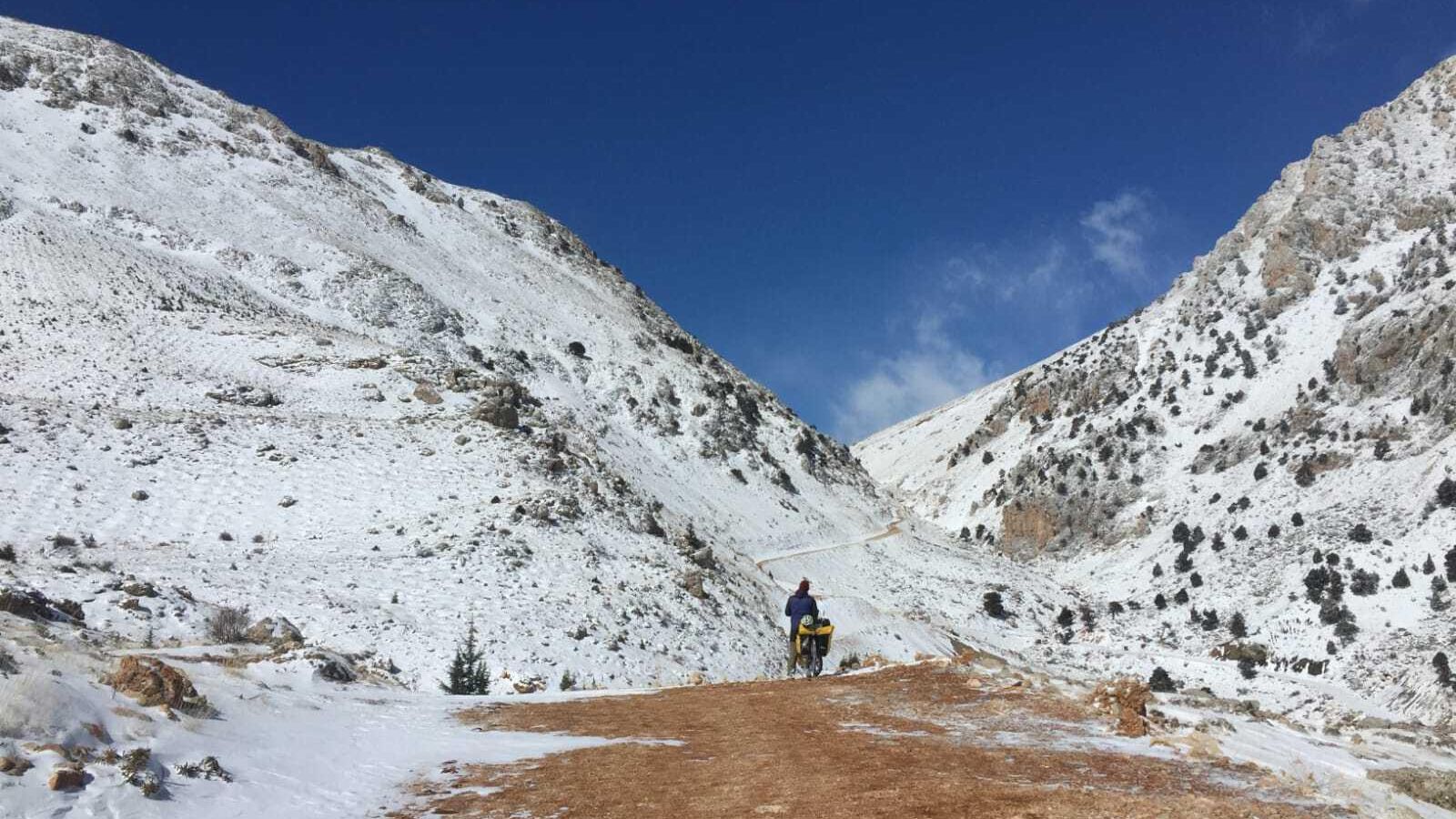 463f0348-d112-4cc8-9166-a9d98c6c8d3f