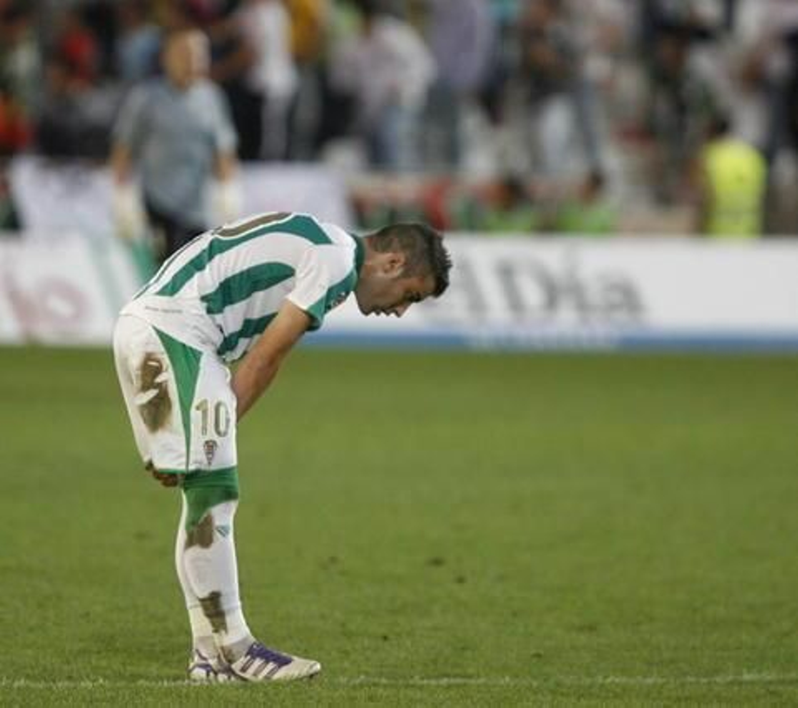 Foto: Alvaro Carmona