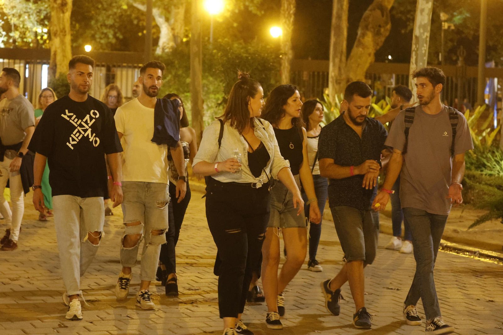 Búscate en las imágenes del concierto de Izal