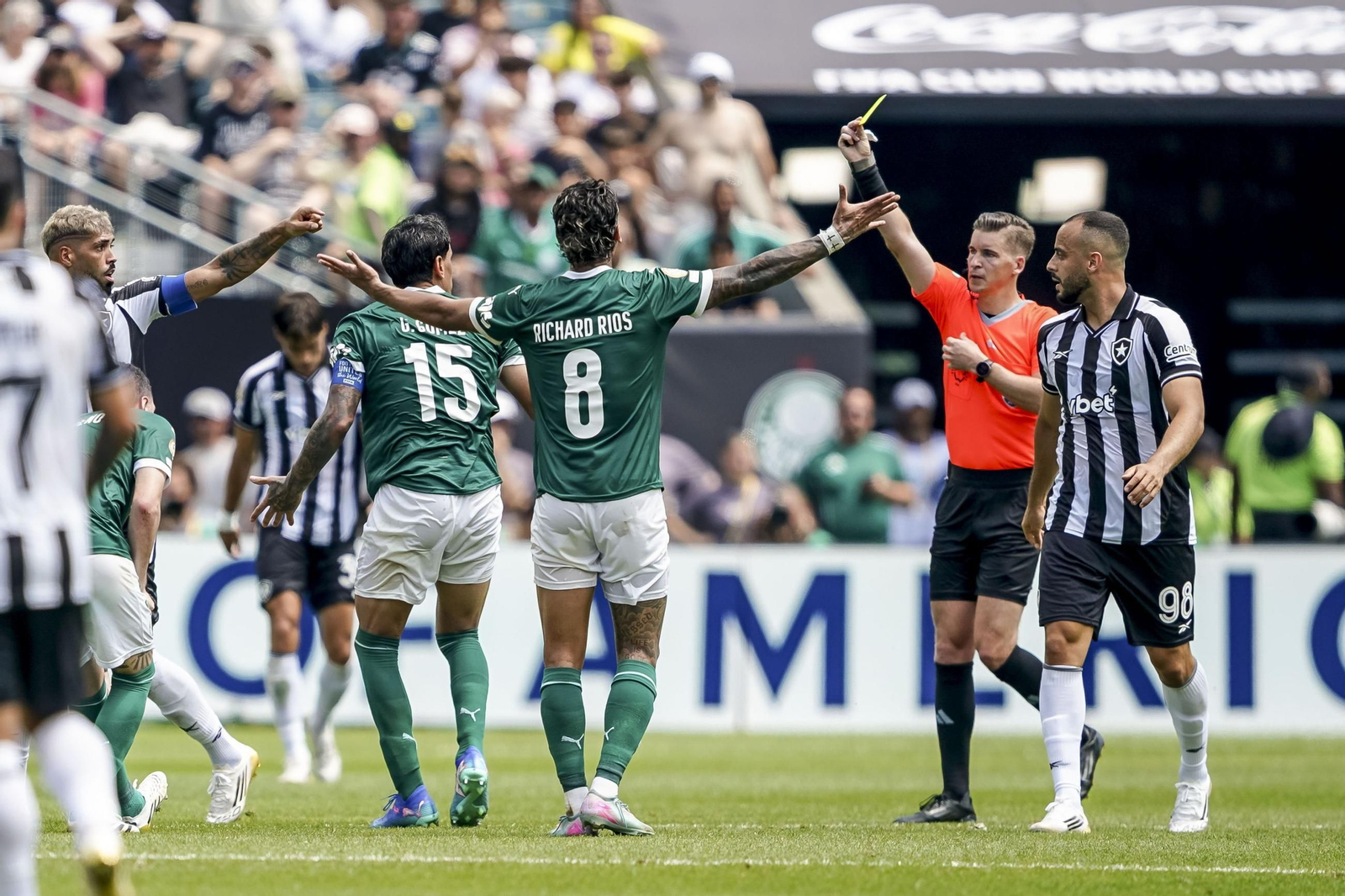 Palmeiras-Botafogo (36).jpg