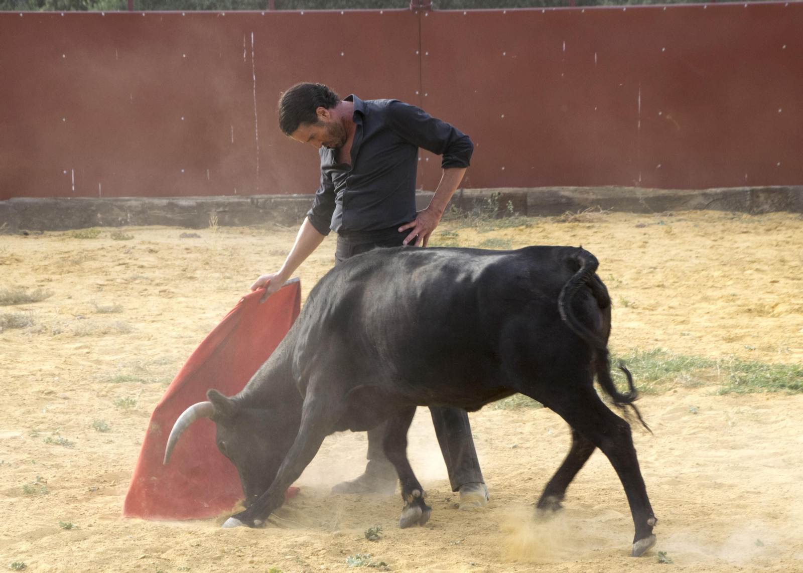 Finito de Córdoba, en un tentadero en la Sierra, en imágenes