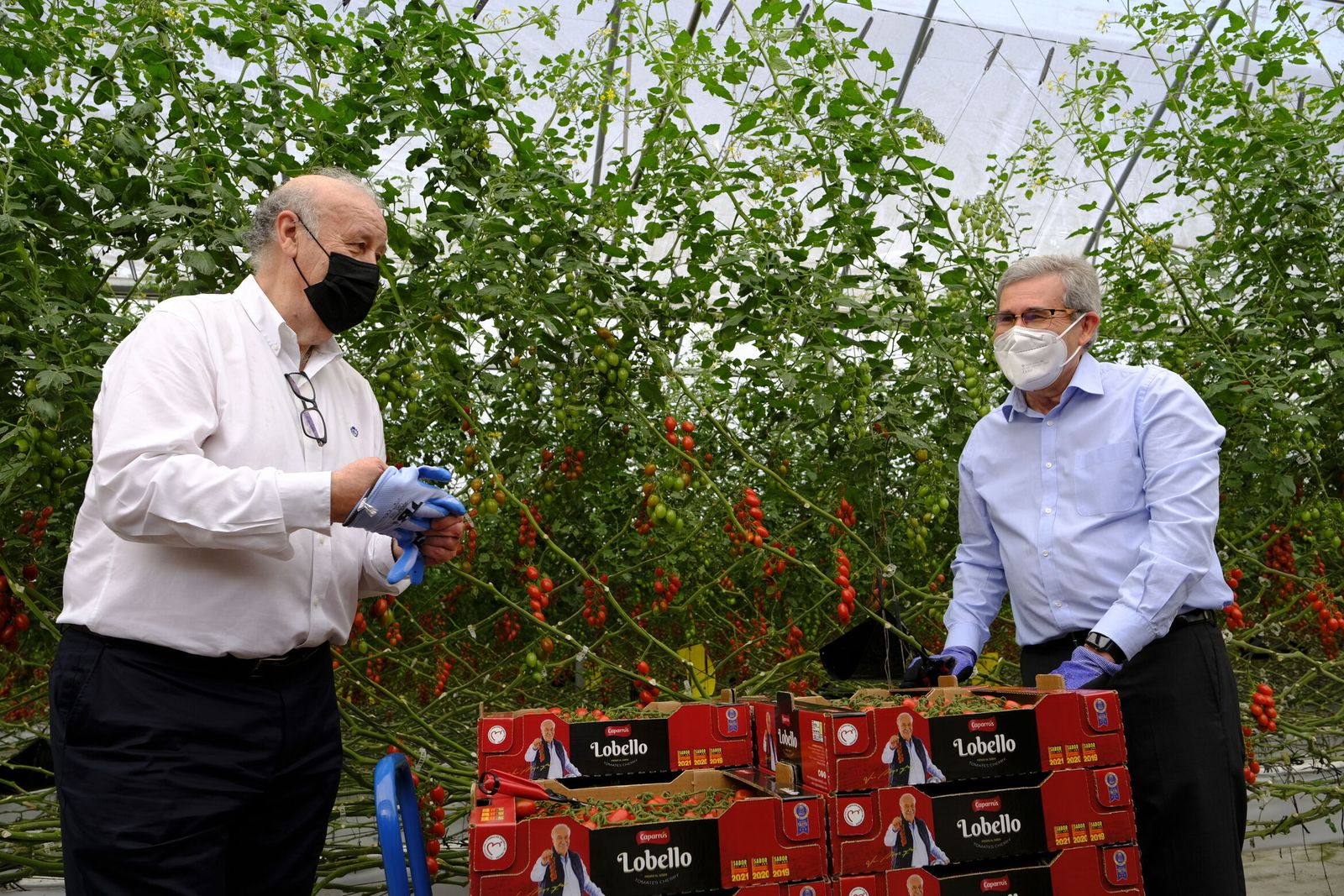 Visita de Vicente del Bosque  a las instalaciones de la empresa Grupo Caparrós  en El Alquián.