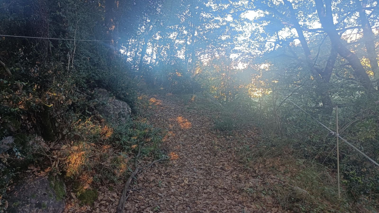 Sendero en subida entre Beranuy y Pardinella