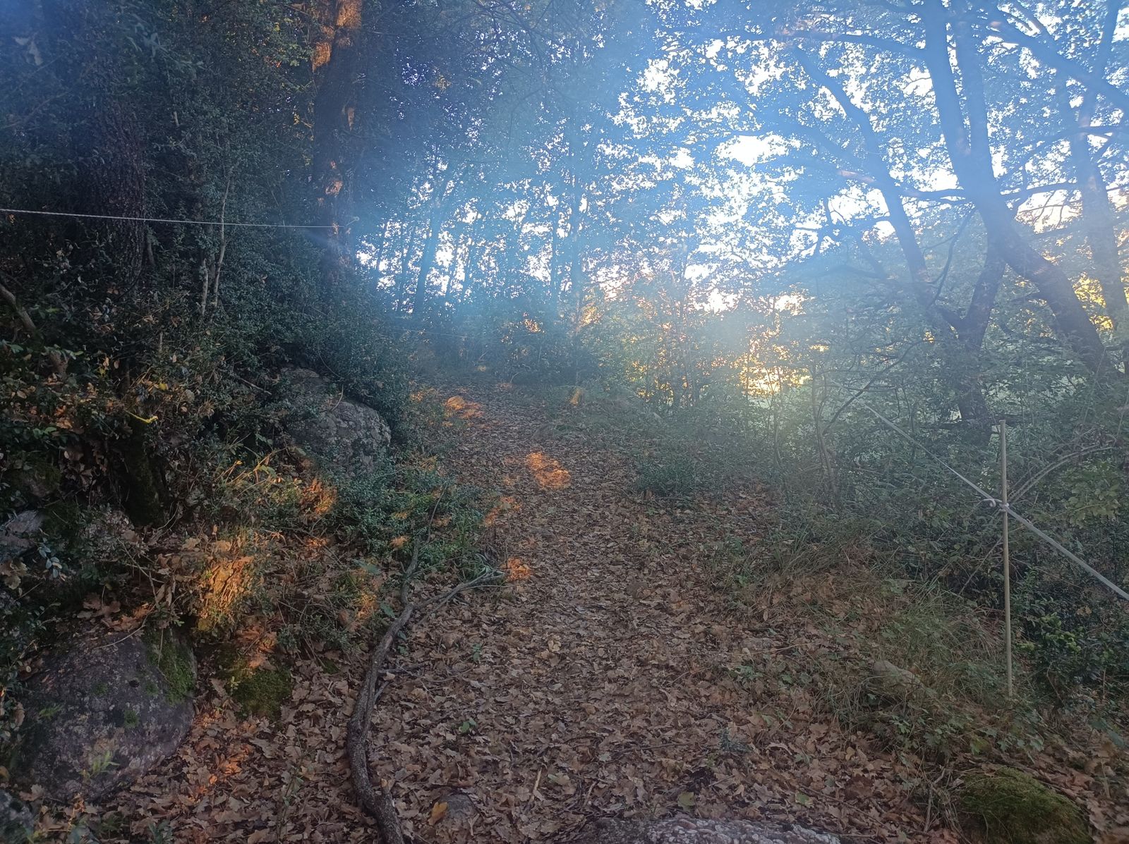 Sendero en subida entre Beranuy y Pardinella