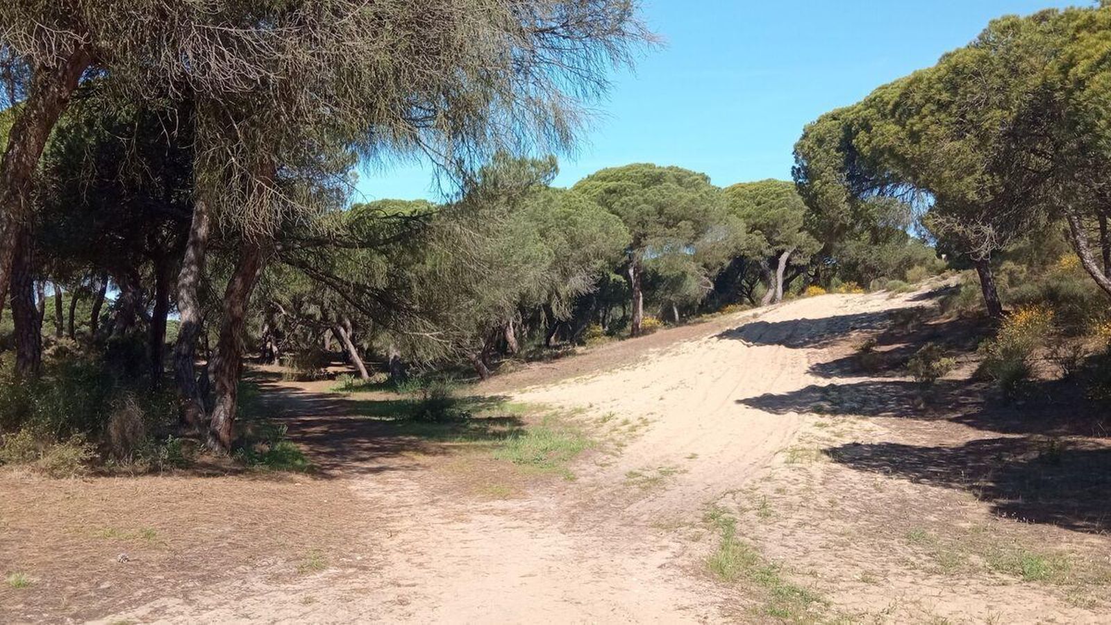 Hay que seguir recto