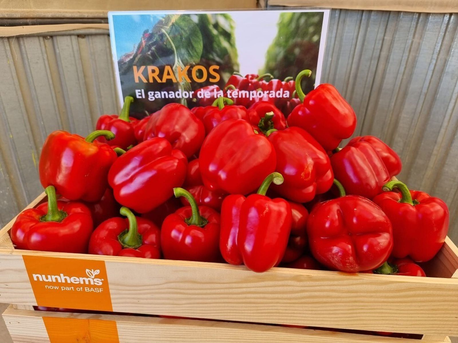 Krakos, de BASF.