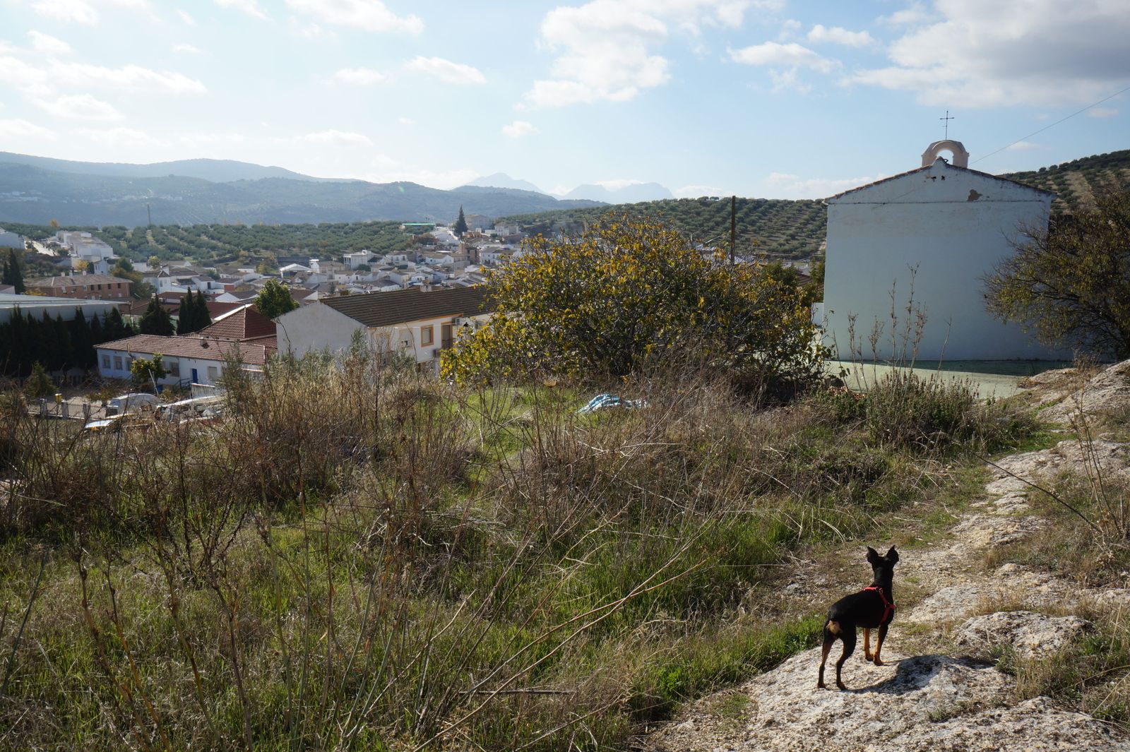 Panorámica de Fuente-Tójar.