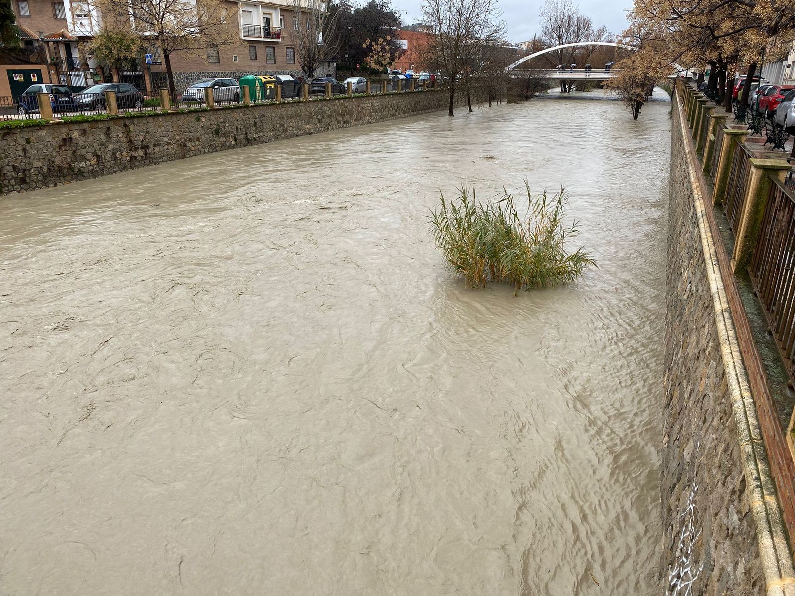 WhatsApp Image 2026-02-04 at 12.46.02