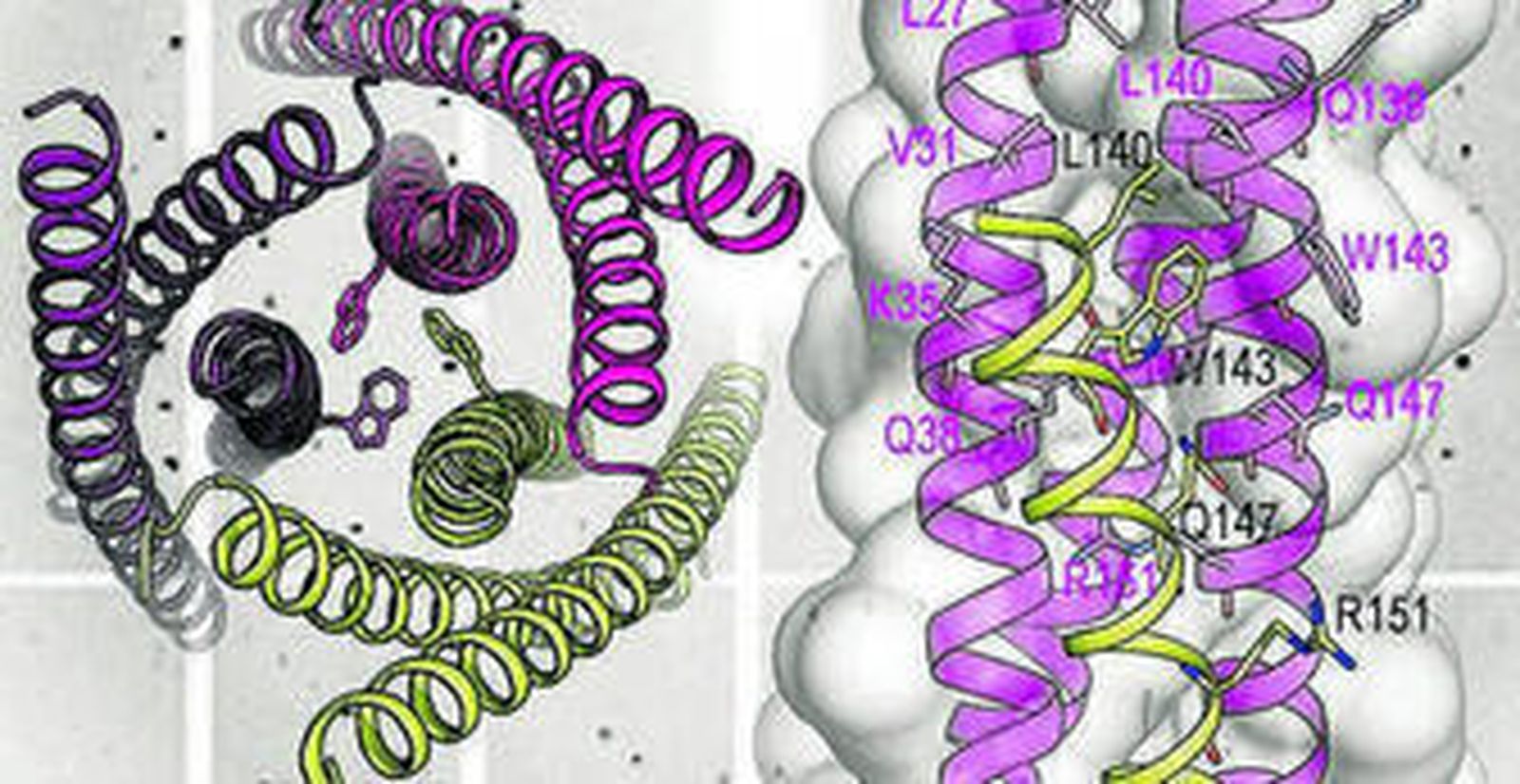Varios miembros del equipo de investigación, entre ellos (en el centro), la primera autora del trabajo, Sara Crespillo.