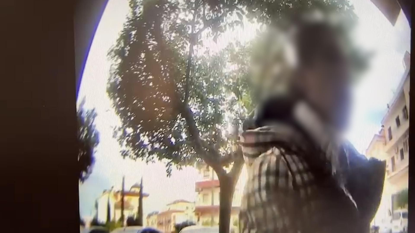 La presunta estafadora.