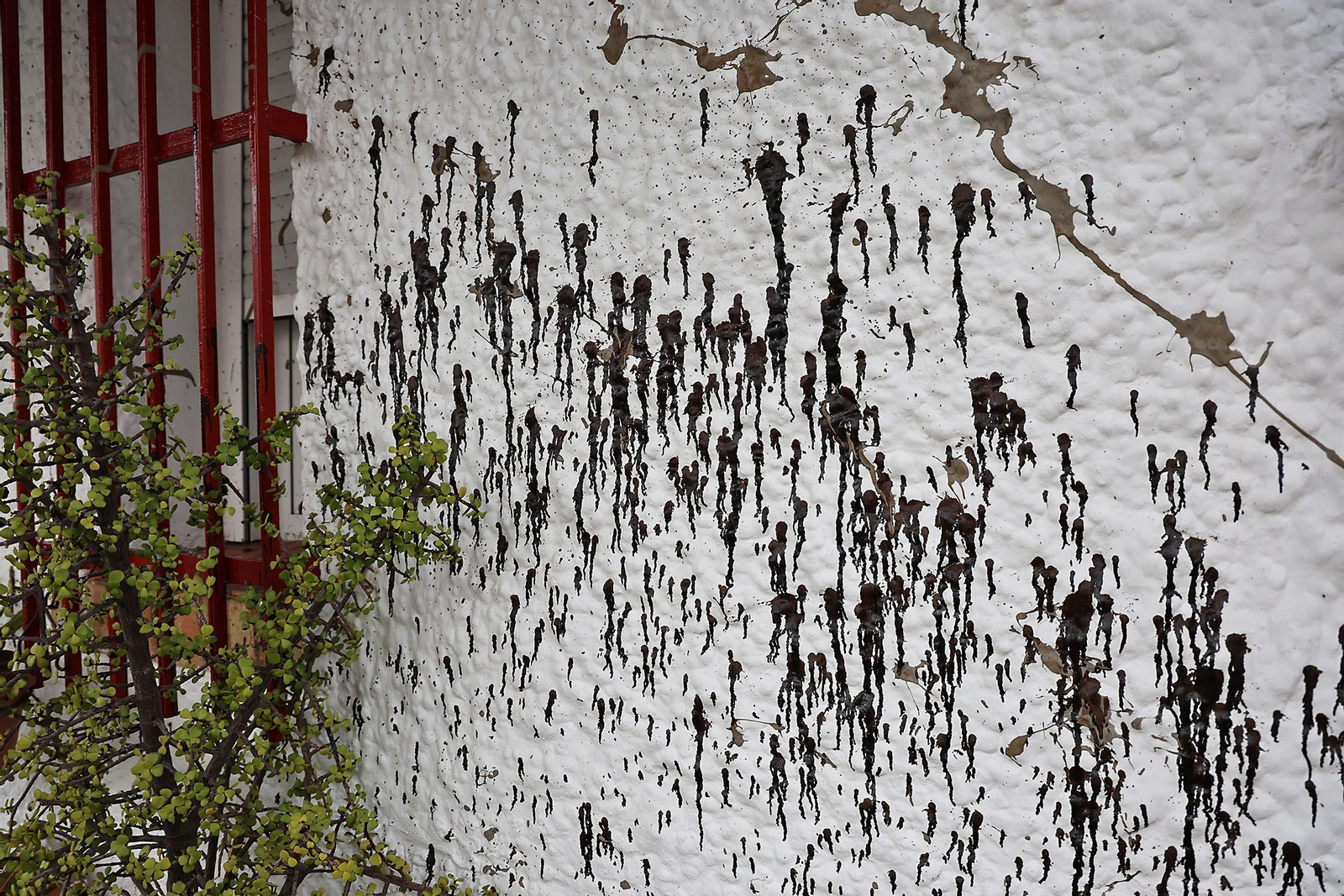 Imágenes del acto vandálico contra una de las casas del Barrio Obrero