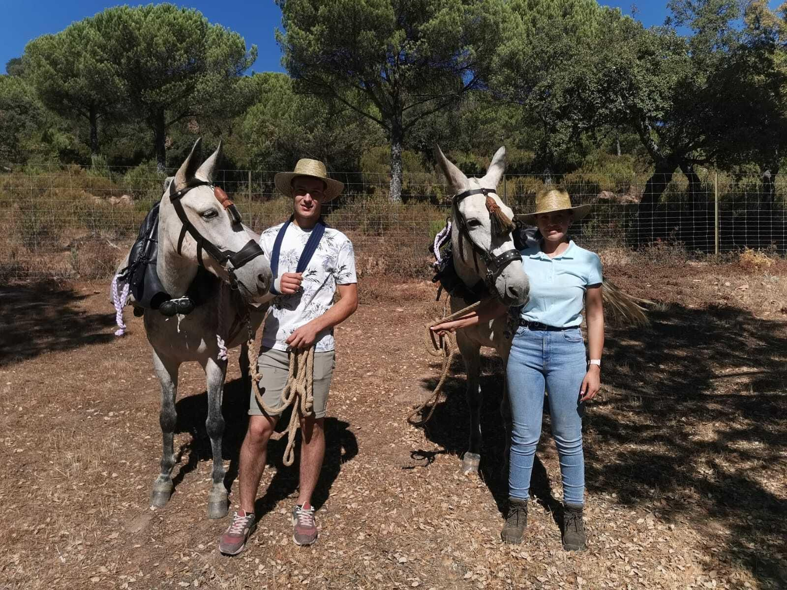 Las mulas se encargan de transportar las presas.