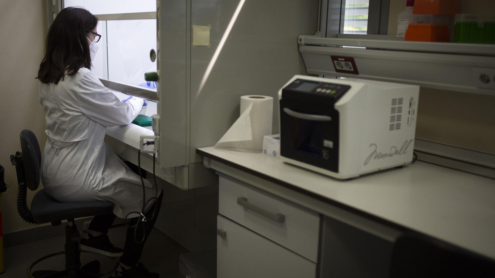 La bióloga María José Ruiz en uno de los laboratorios.