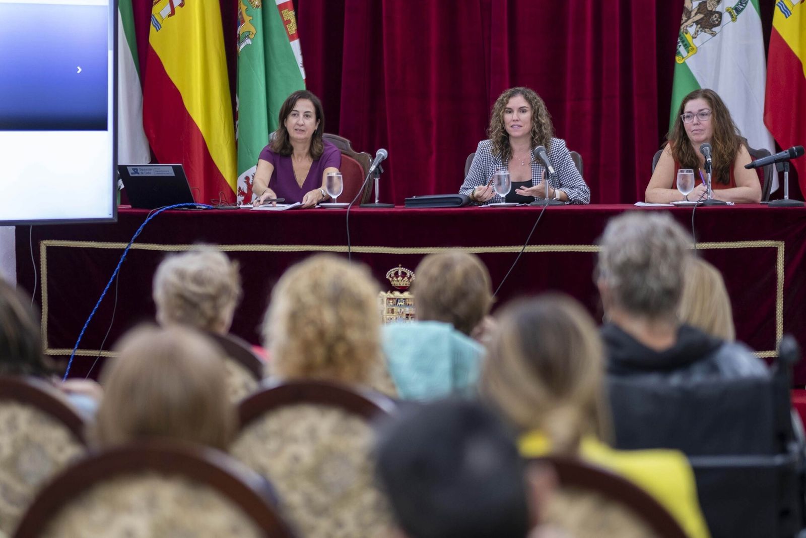 El Consejo provincial de Igualdad, con la diputada del ramo.