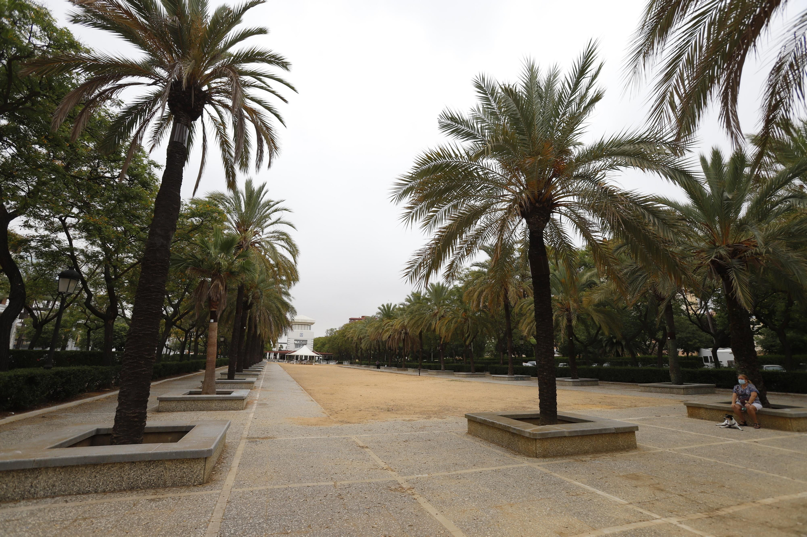 Imágenes del deterioro en la Avenida de Andalucía