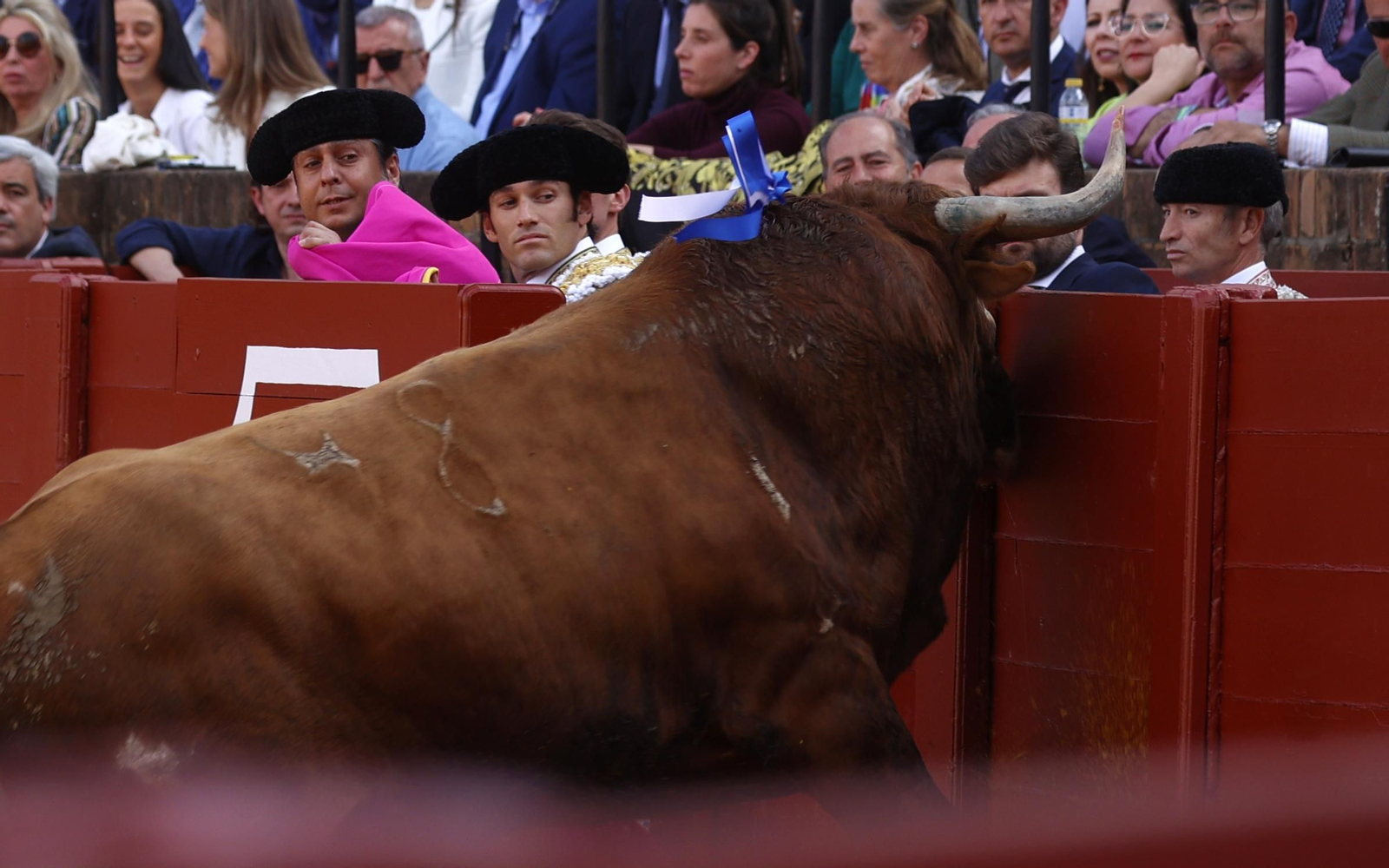 Las imágenes de la tercera de abono en la Maestranza