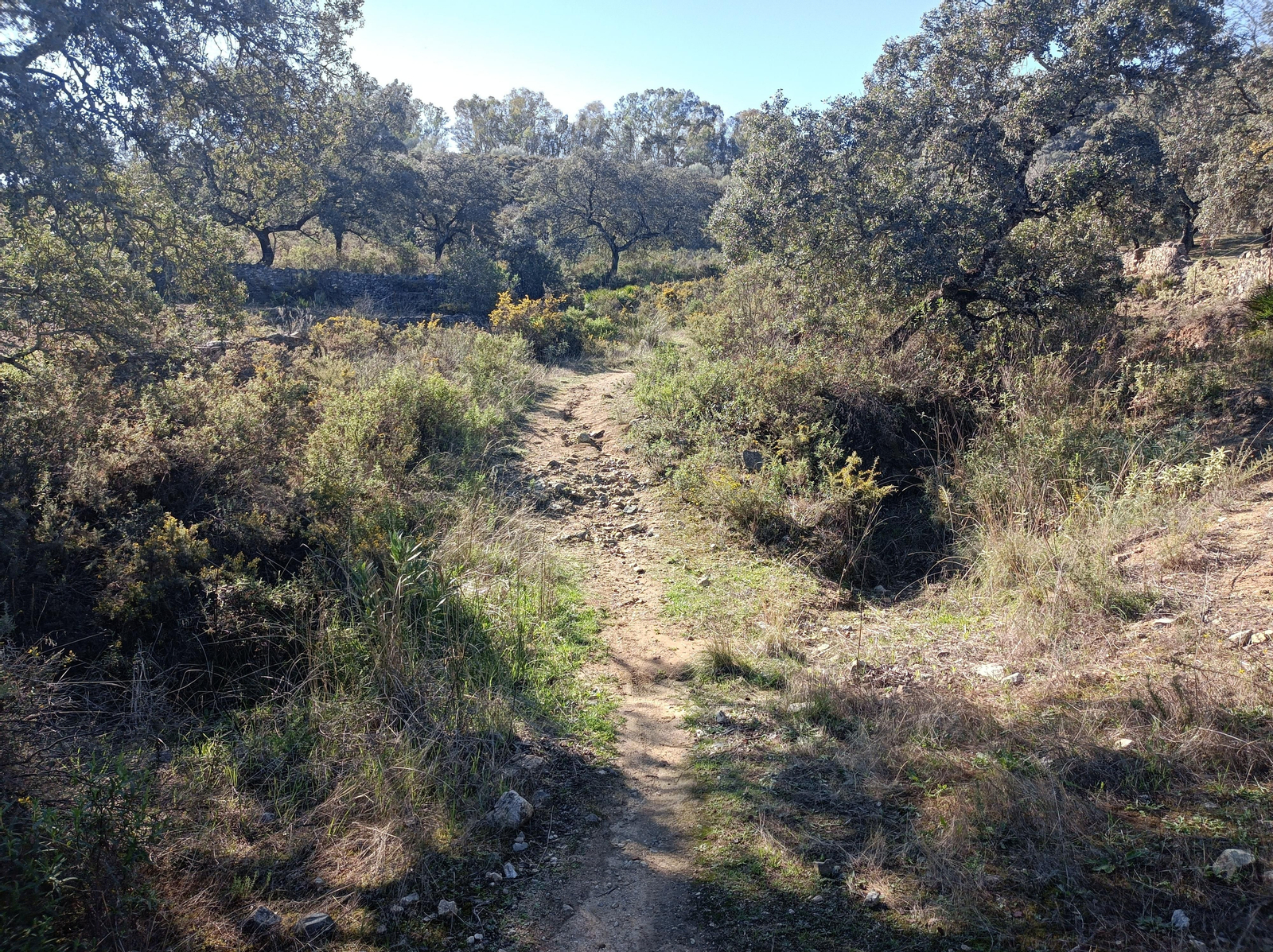 Ruta de Las Cañadillas