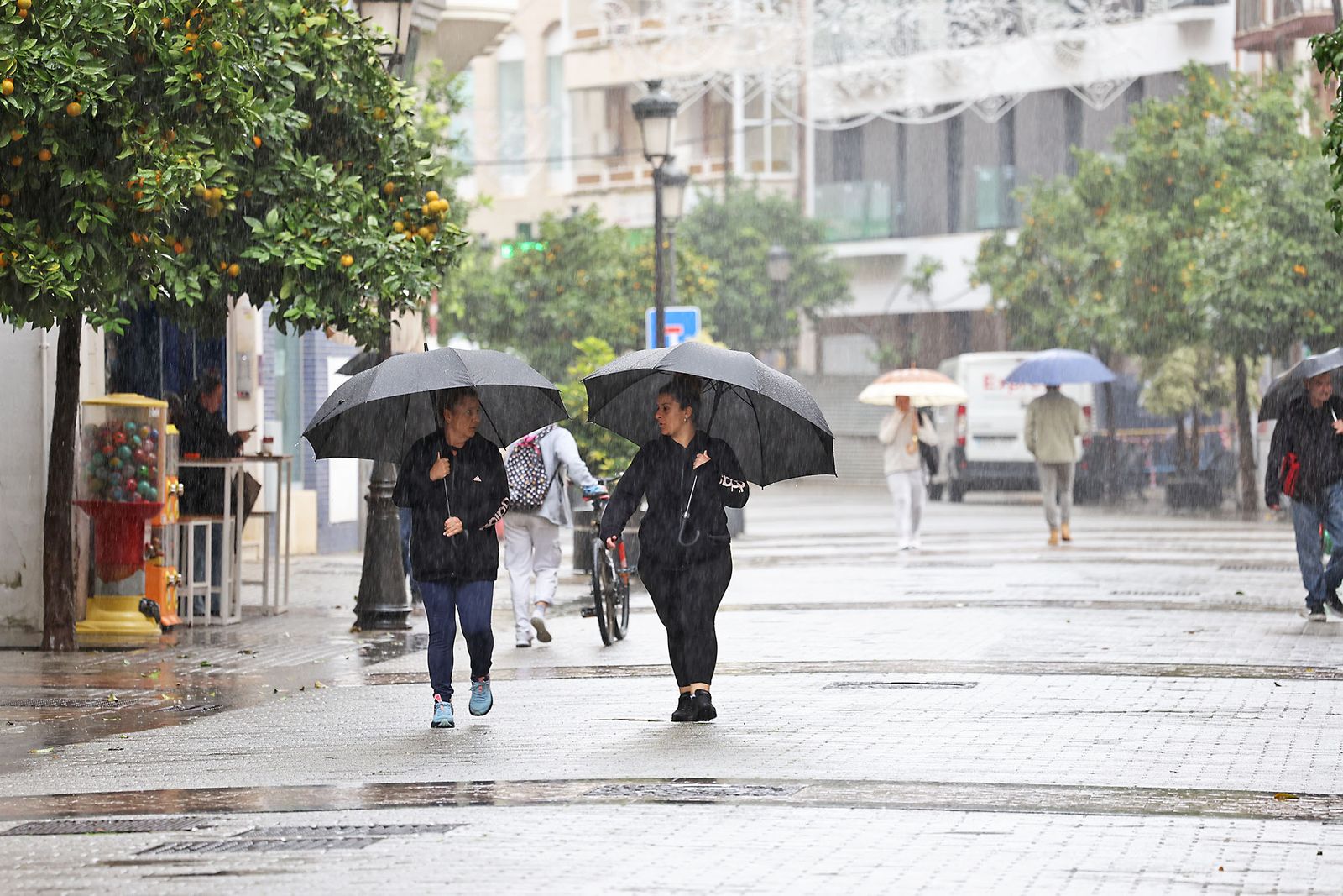 Las imágenes más destacadas del lunes 25 de noviembre en Huelva