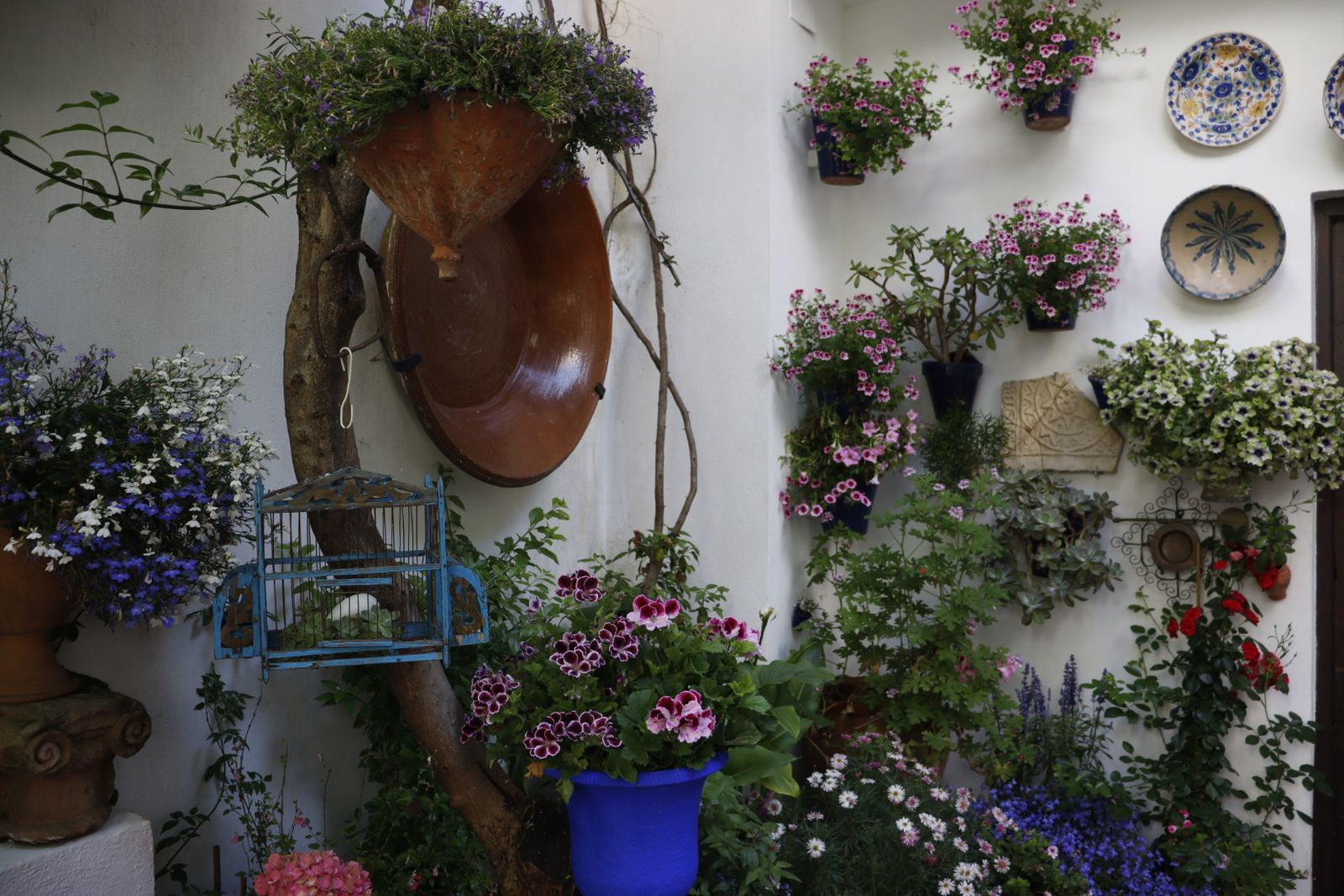 Ruta de los patios de San Lorenzo