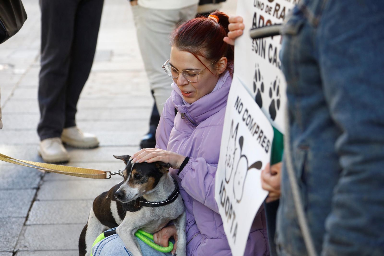 Las mejores imágenes del desfile preadopción de perros y gatos en Córdoba