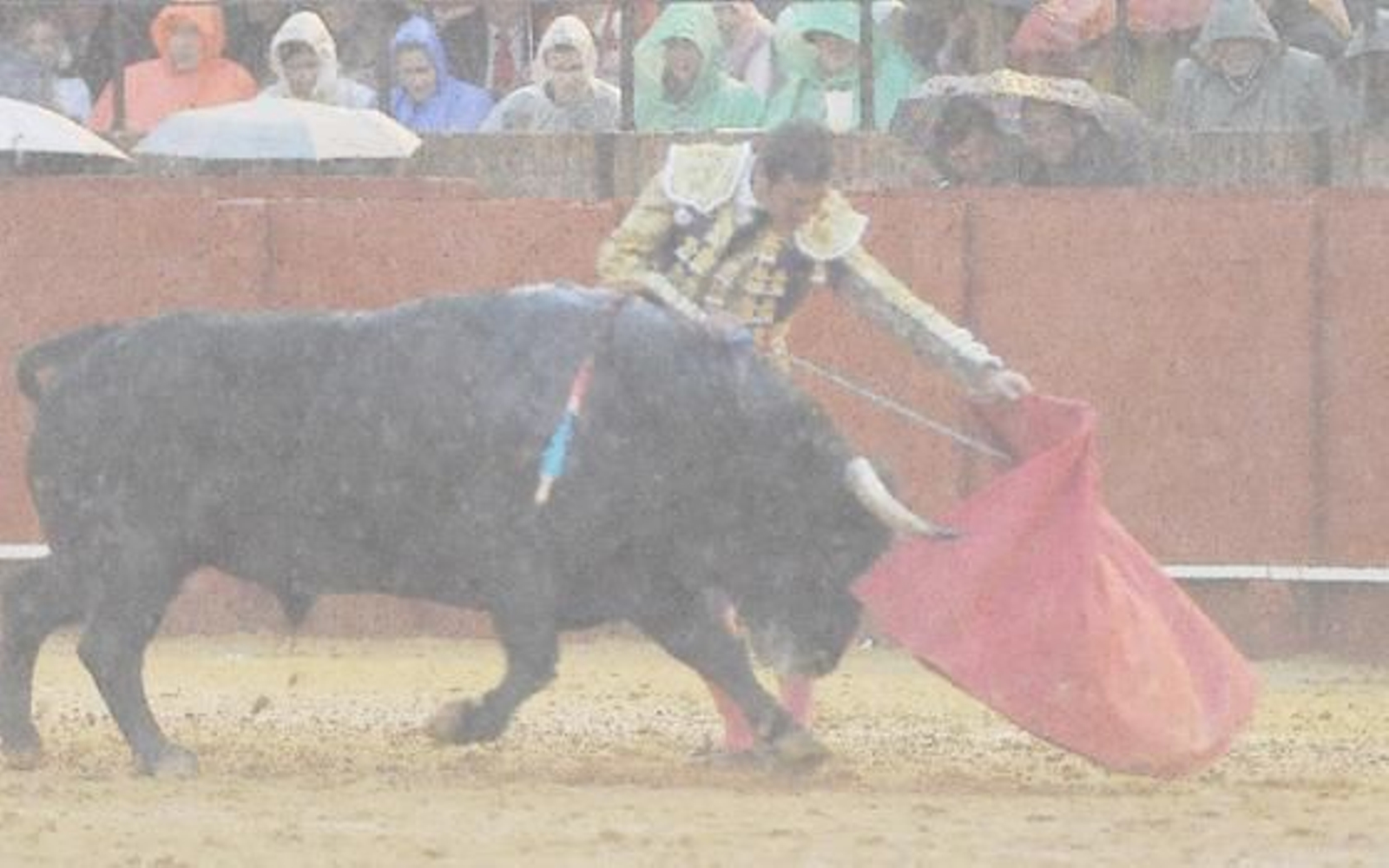 Foto: Juan Carlos Vázquez