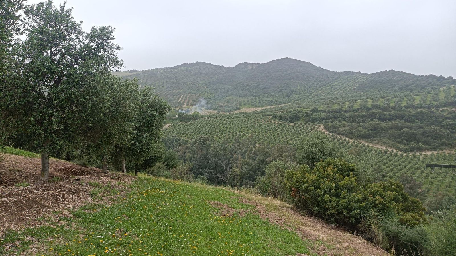 La pendiente se va endureciendo conforme avancemos.