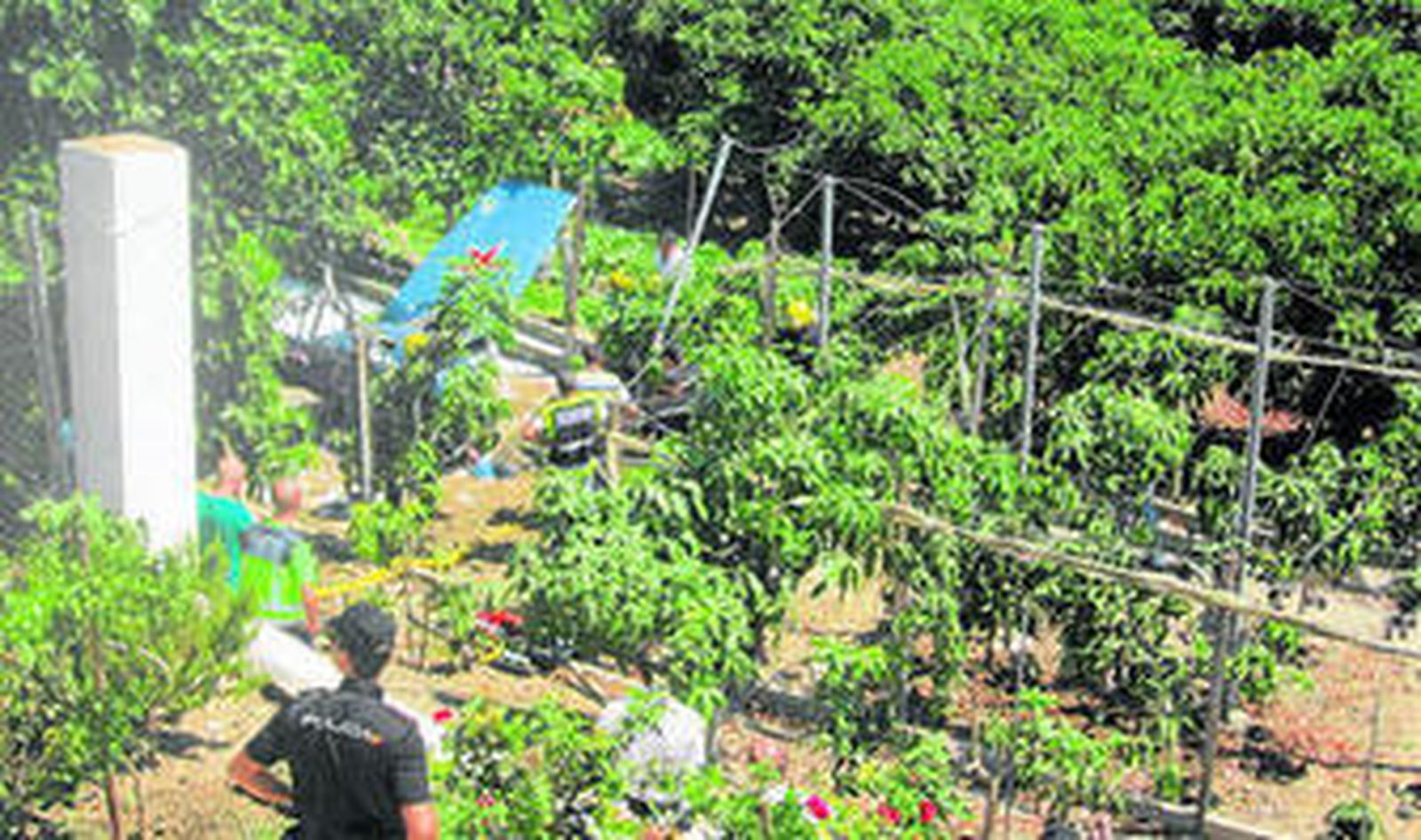 Cola de la avioneta siniestrada ayer en la localidad de Vélez-Málaga.