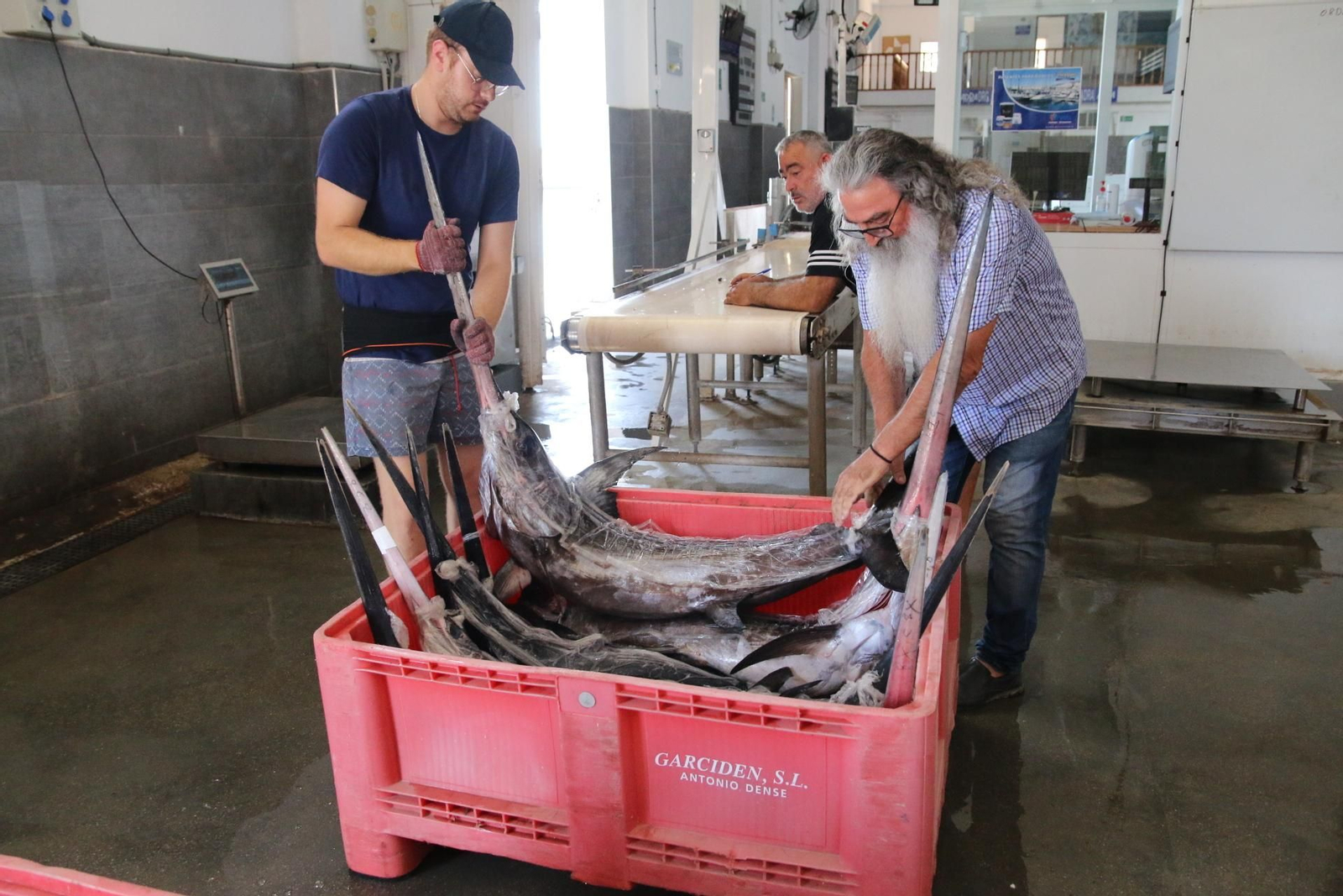 Fotogalería de la Cofradía de Pescadores de Adra